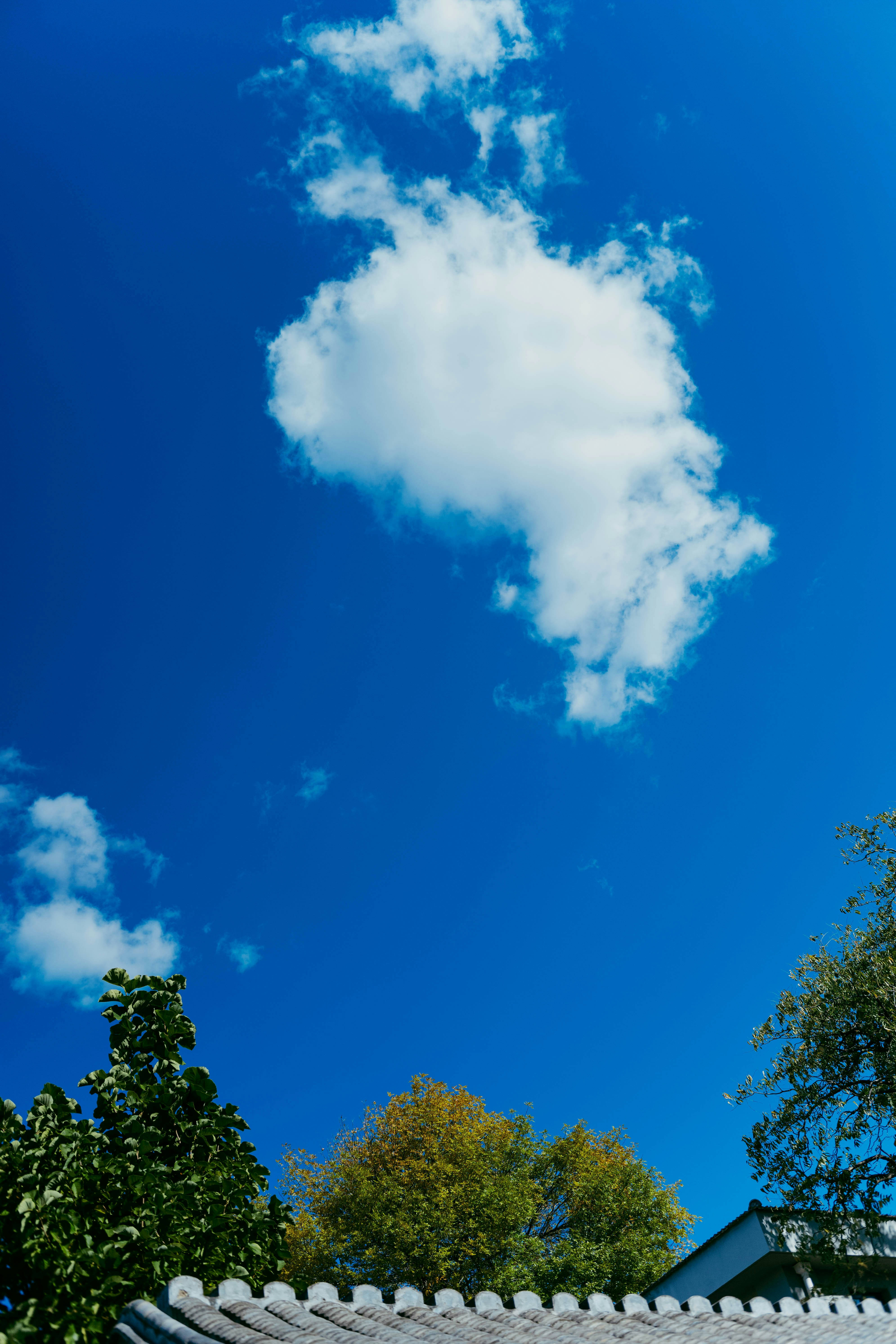 Photo by tommaomaoer