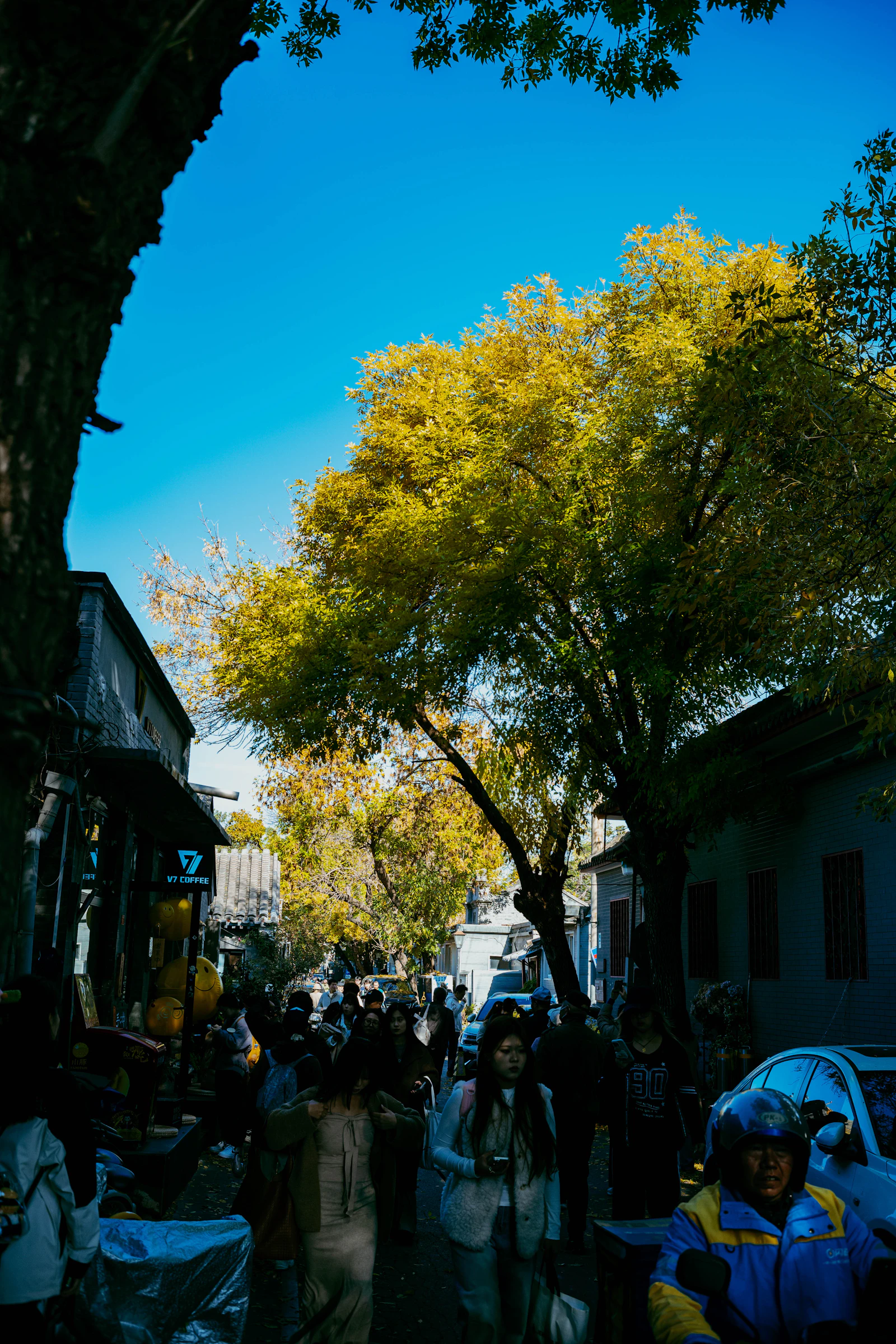 People walking along a tree-lined street with autumn foliage