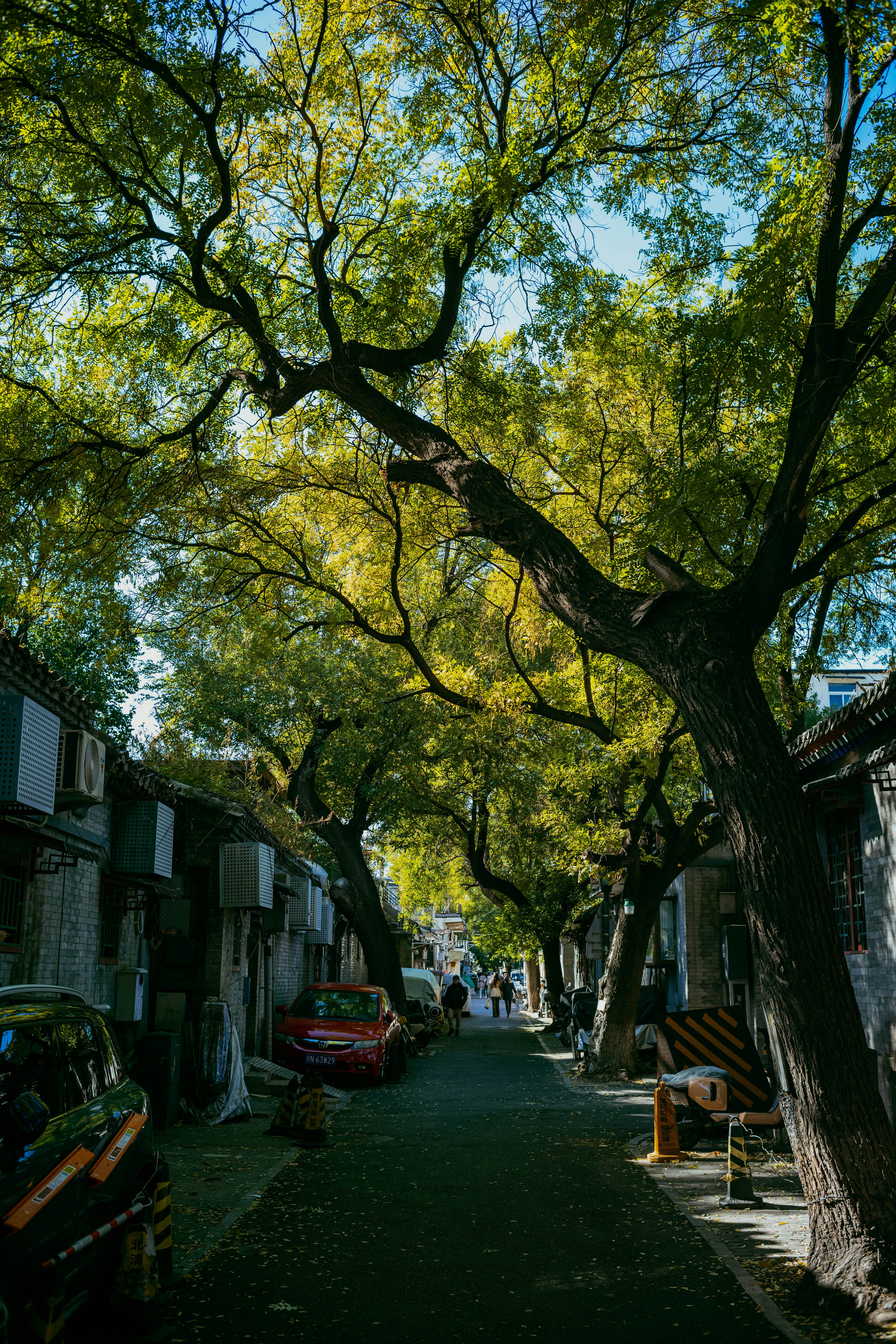 Photo by tommaomaoer