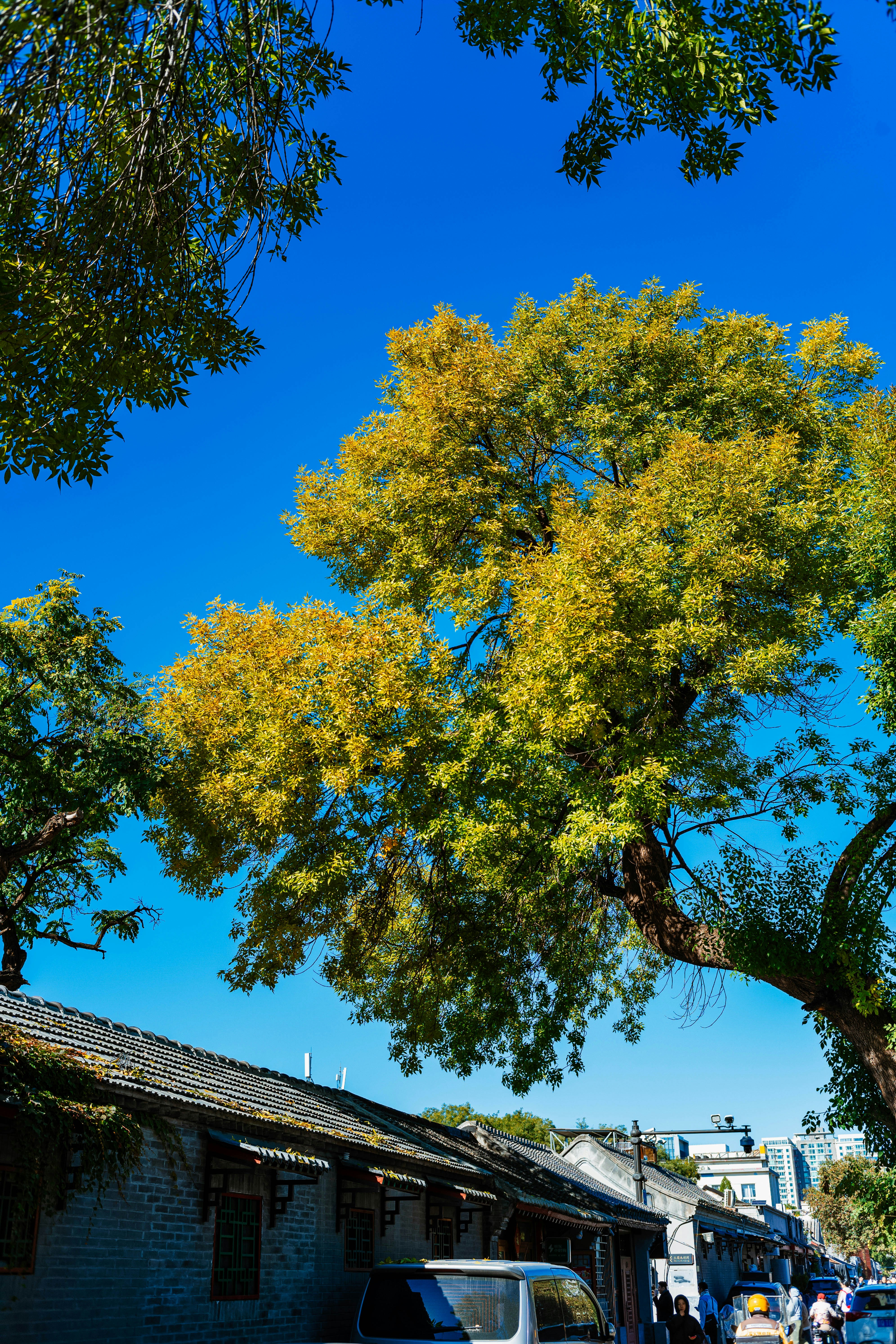 Photo by tommaomaoer