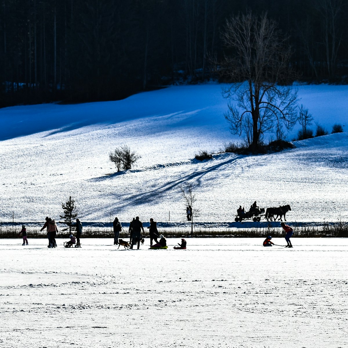 Ice skating and winter activities on a frozen alpine lake, Weissensee Austria