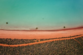 Turquoise water meets red earth with sparse trees.