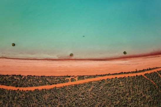 Turquoise water meets red earth with sparse trees.