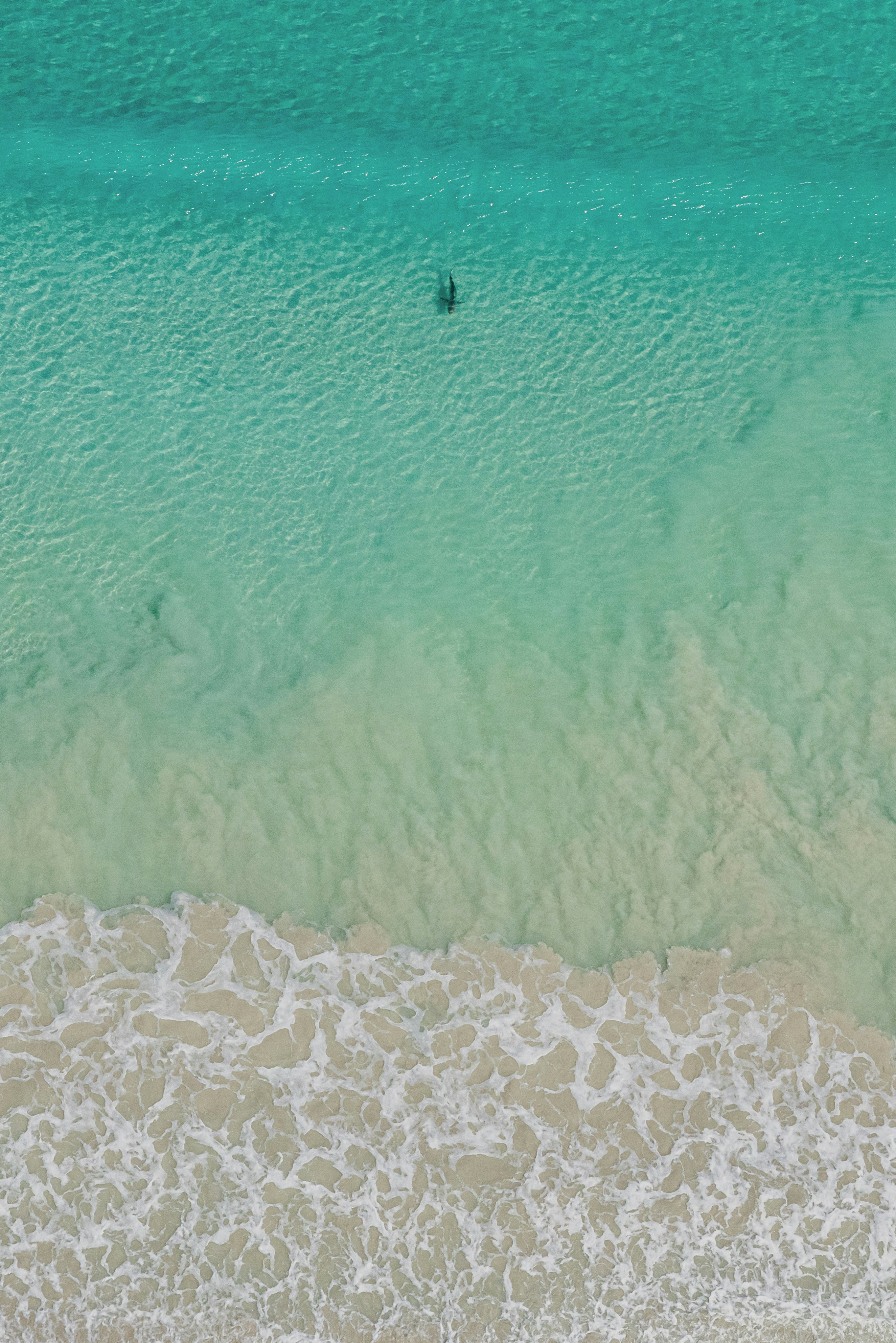 Person swimming in clear turquoise ocean water