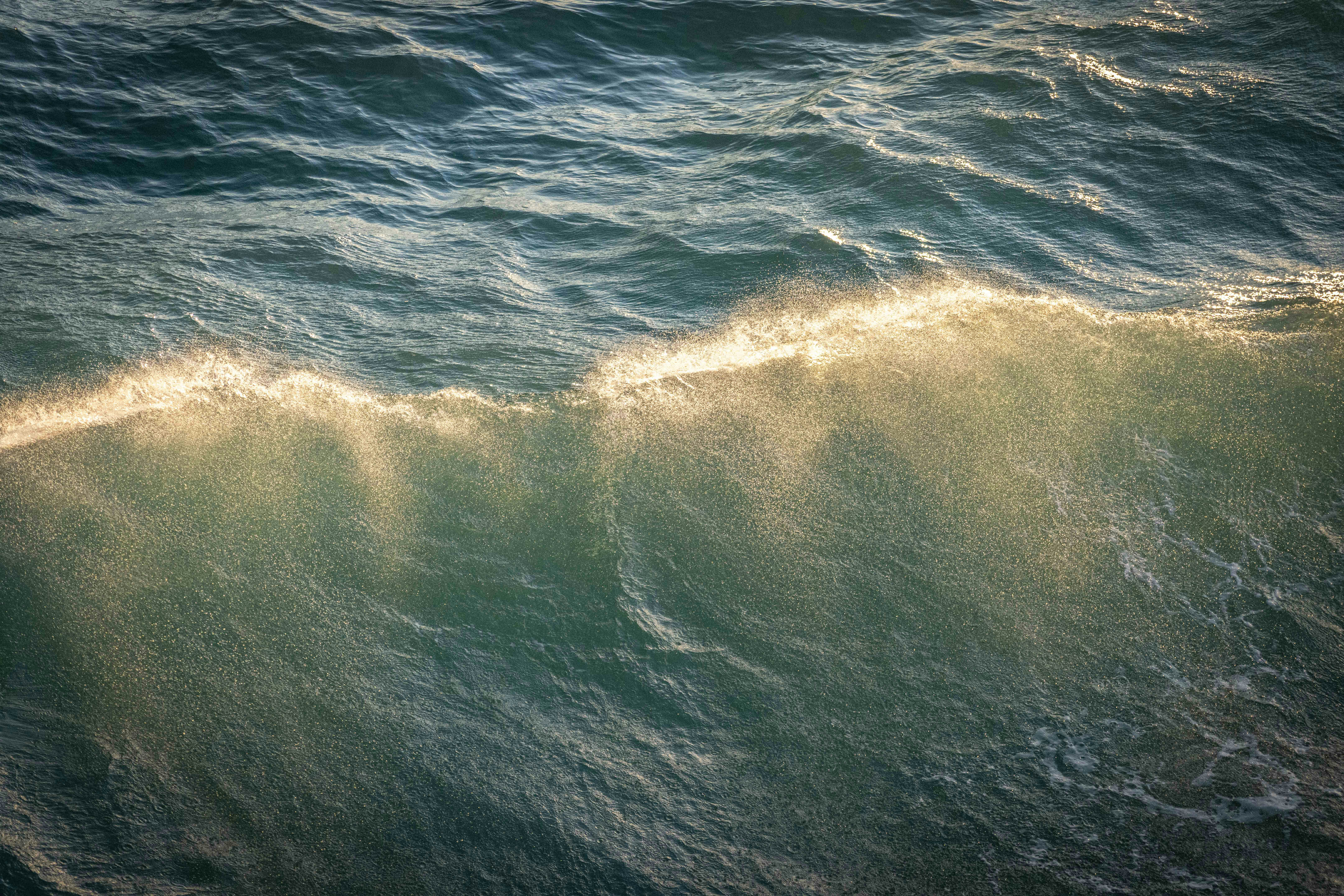 Engage In The Trip To Figure Out Exactly How Anti-Inflammatory Diet Regimens Can Transform Your Joint Health And Wellness And Minimize Signs-- Are You Prepared To Open Their Capacity?