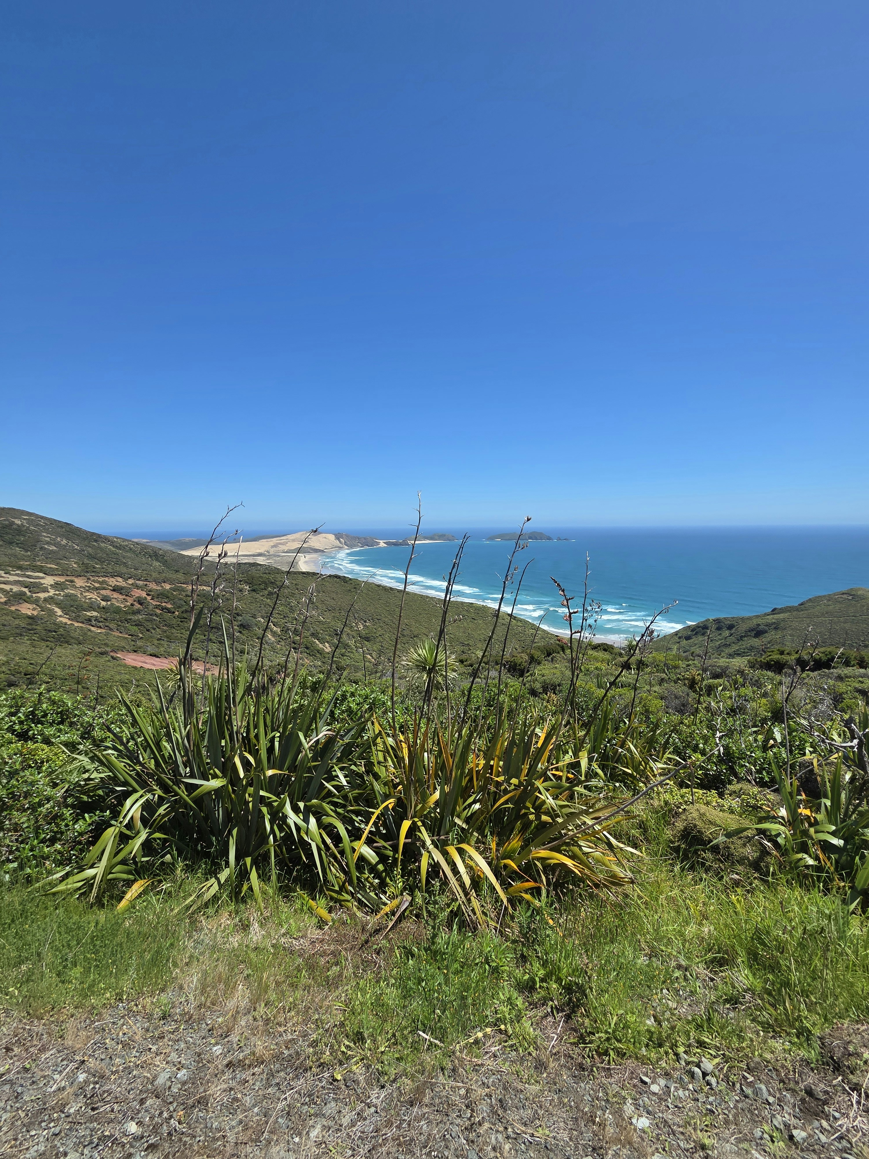 photo-1763688947023-f7c73dfded77?fm=jpg&q=60&w=3000&ixlib=rb-4.1.0&ixid=M3wxMjA3fDB8MHxwaG90by1wYWdlfHx8fGVufDB8fHx8fA%3D%3D