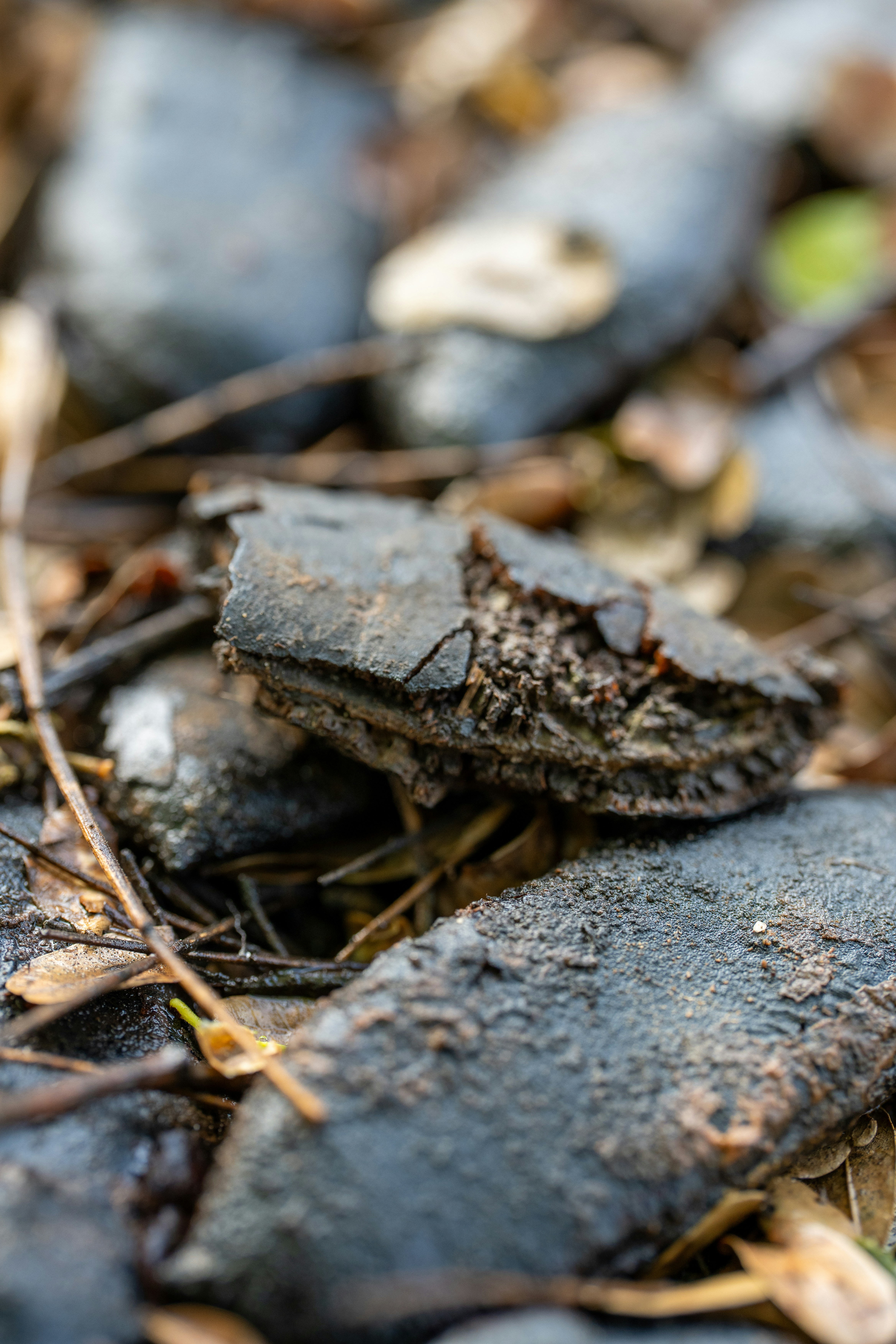 Close-up of broken asphalt pieces on the ground.