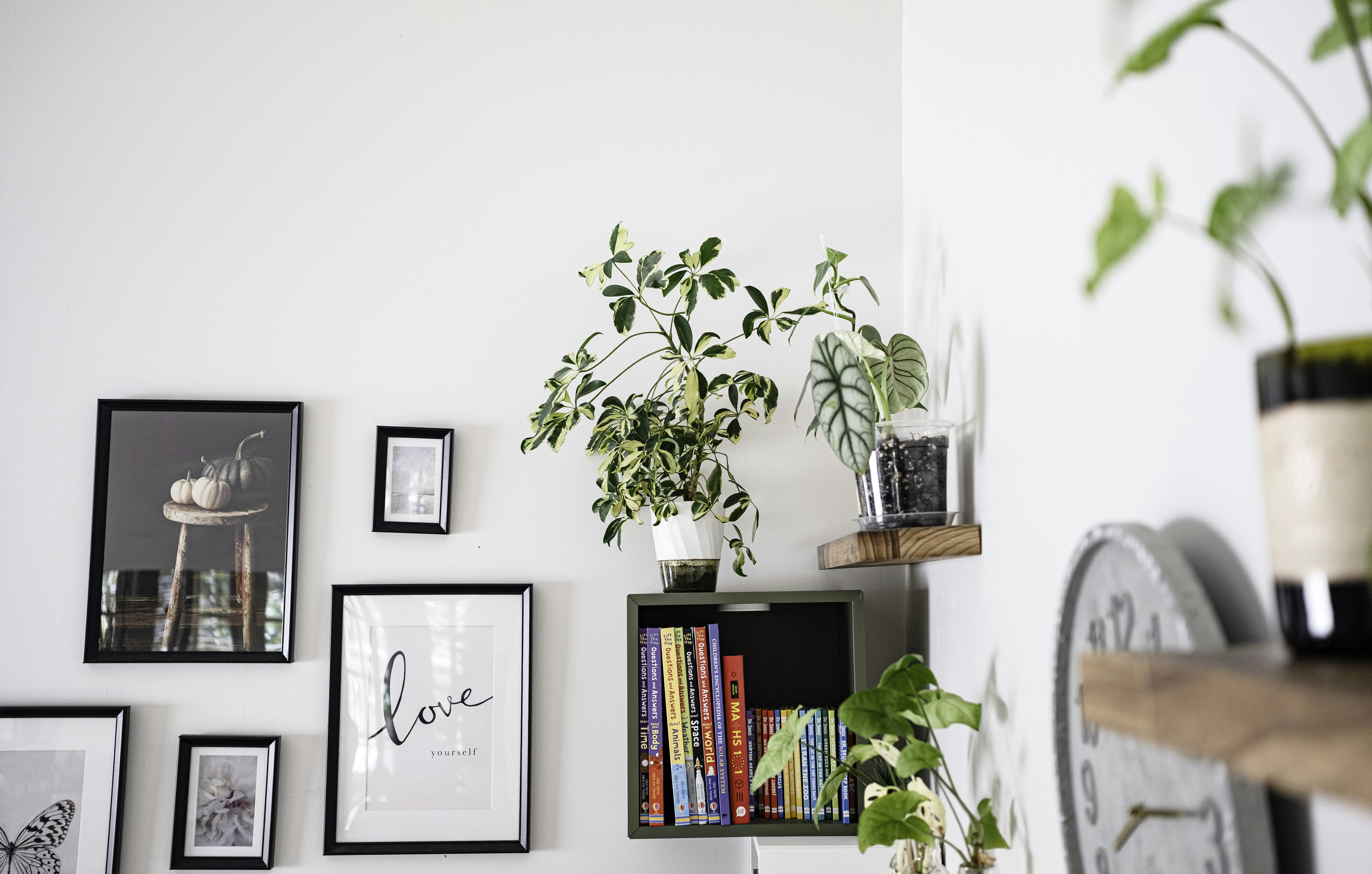 Wall art and plants