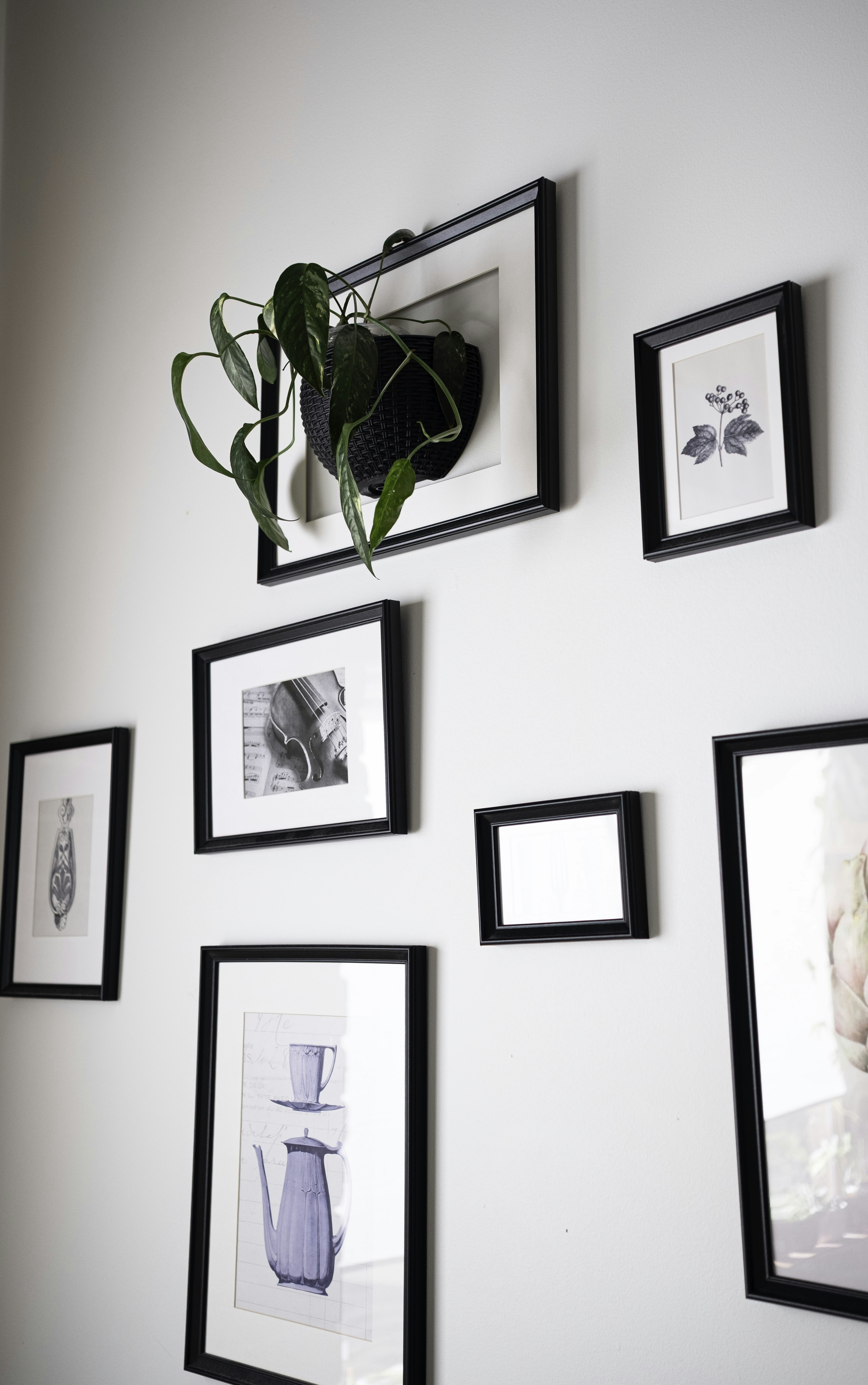 Photo by leafyinteriors