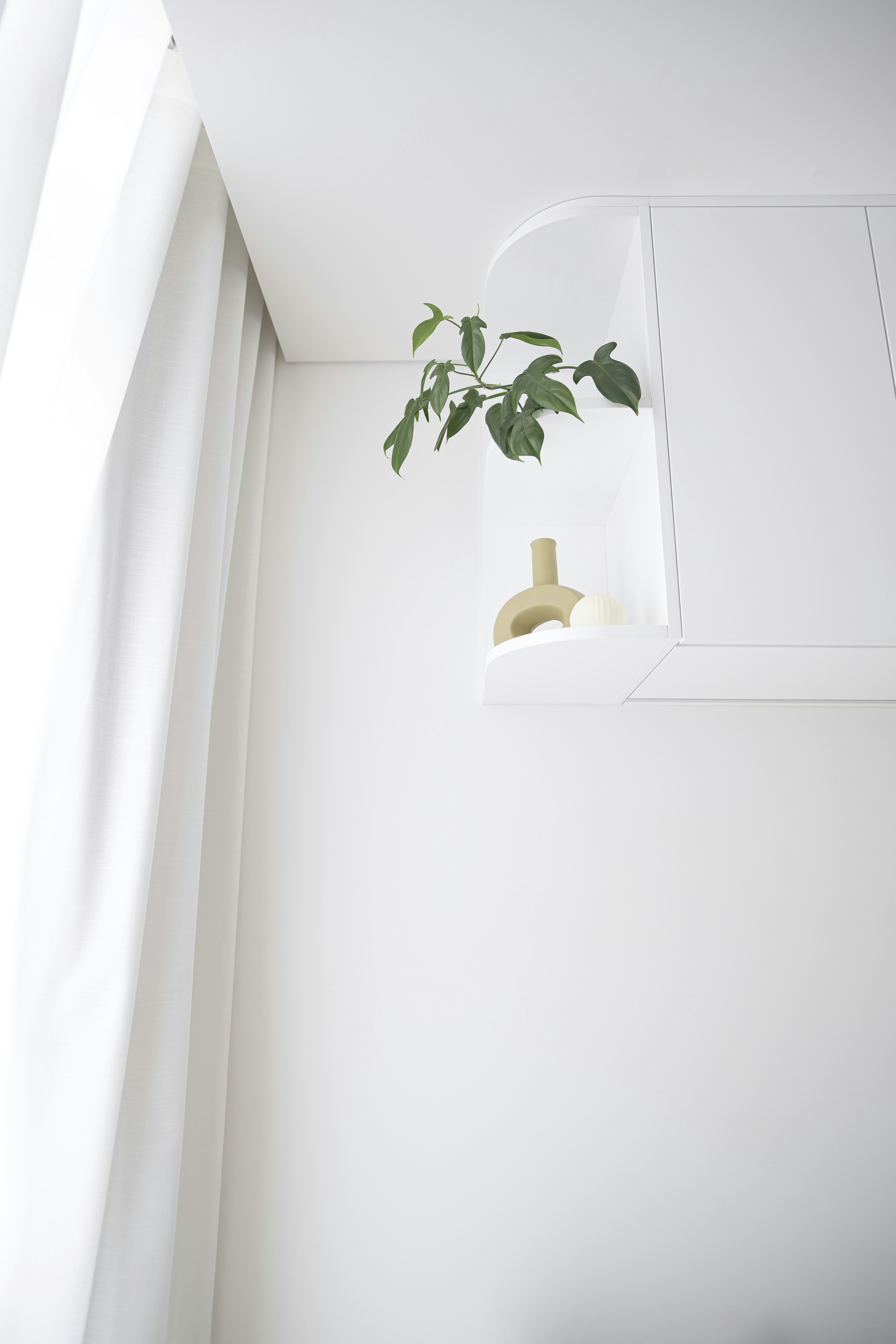 Photo by leafyinteriors