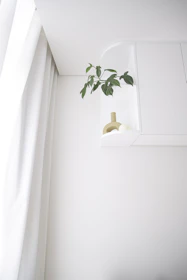 Minimalist interior with a plant on a shelf