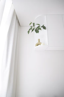 Minimalist interior with a plant on a shelf