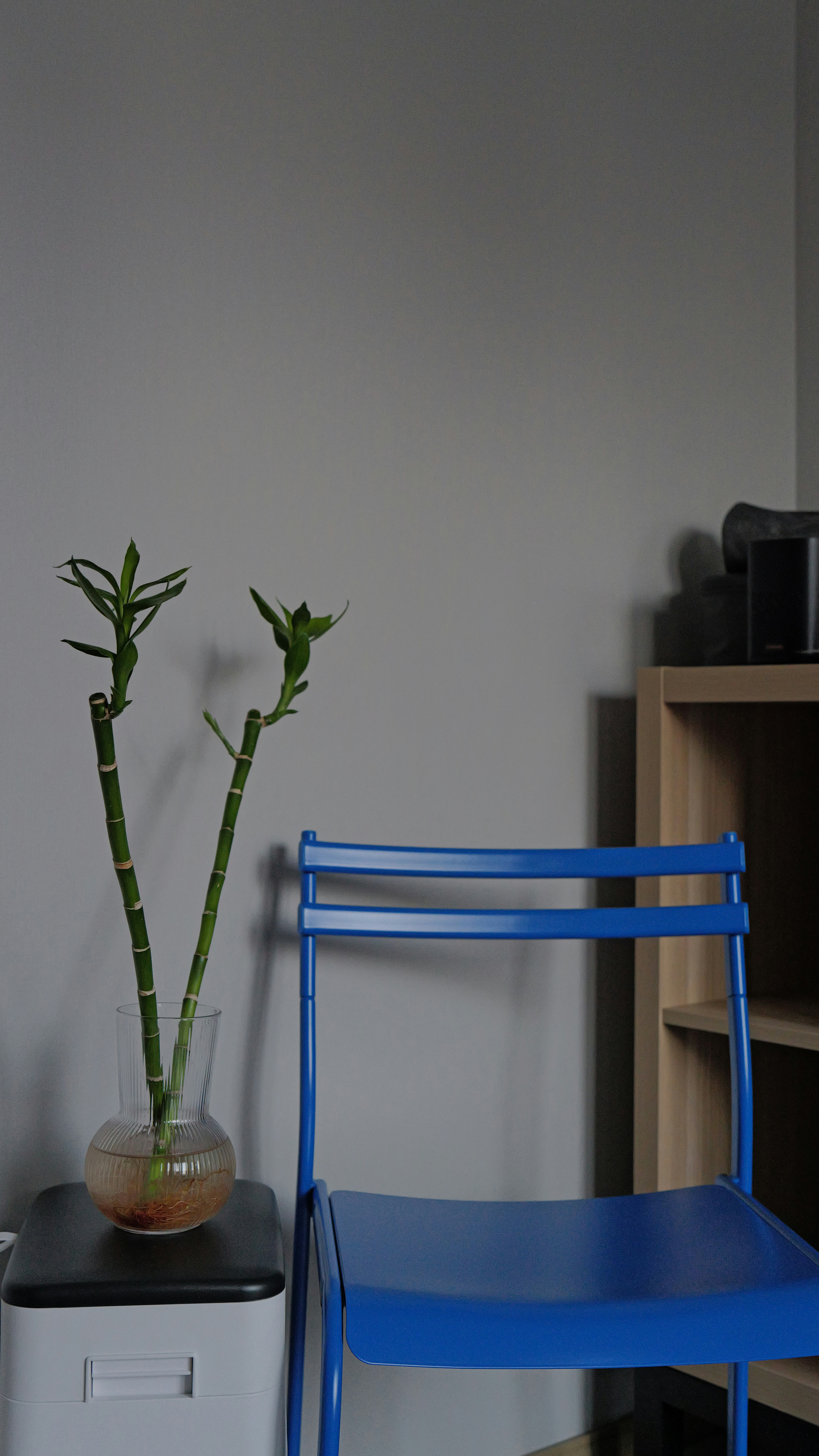A blue chair next to a vase with bamboo.