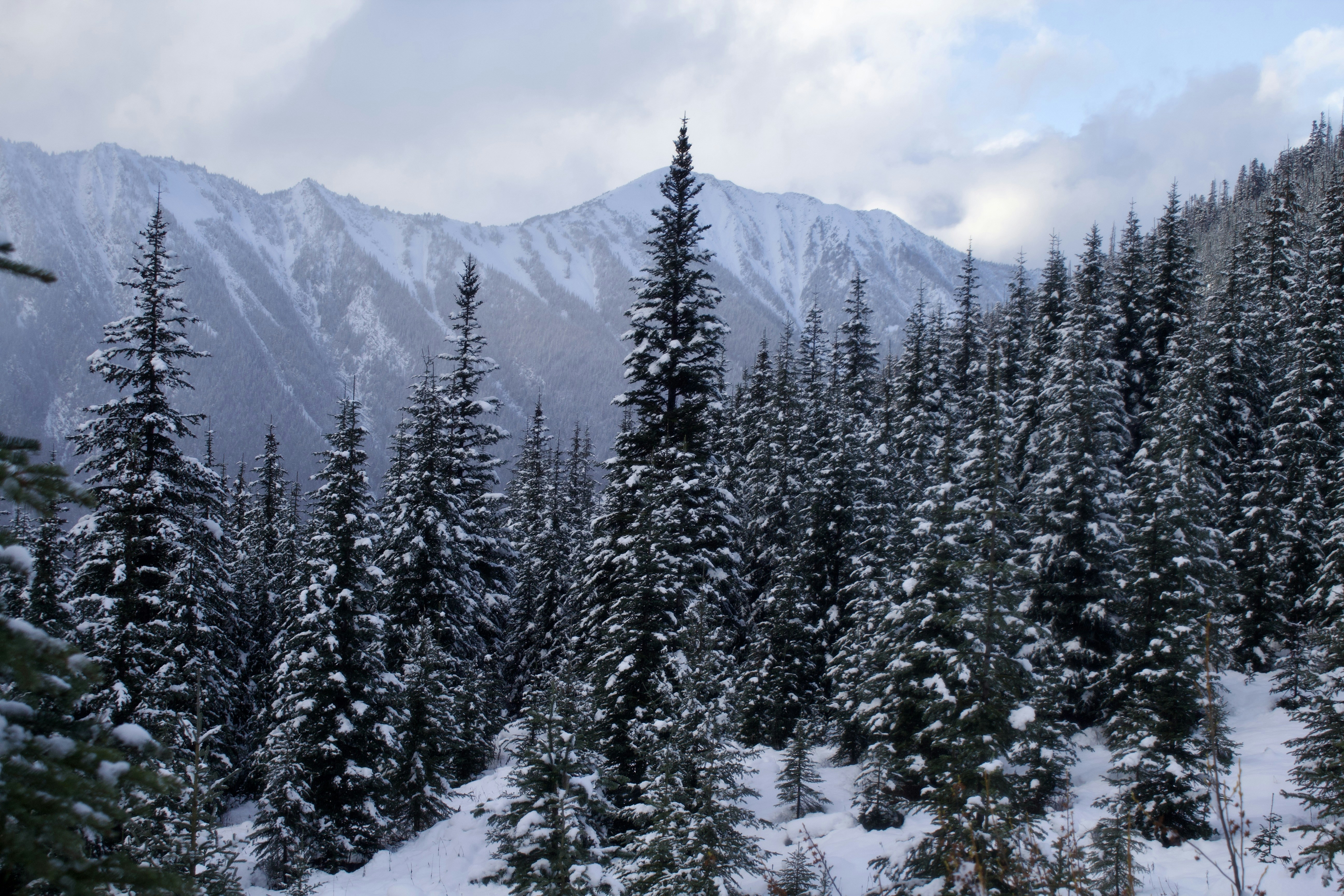 Photo by bishoy_kaldas