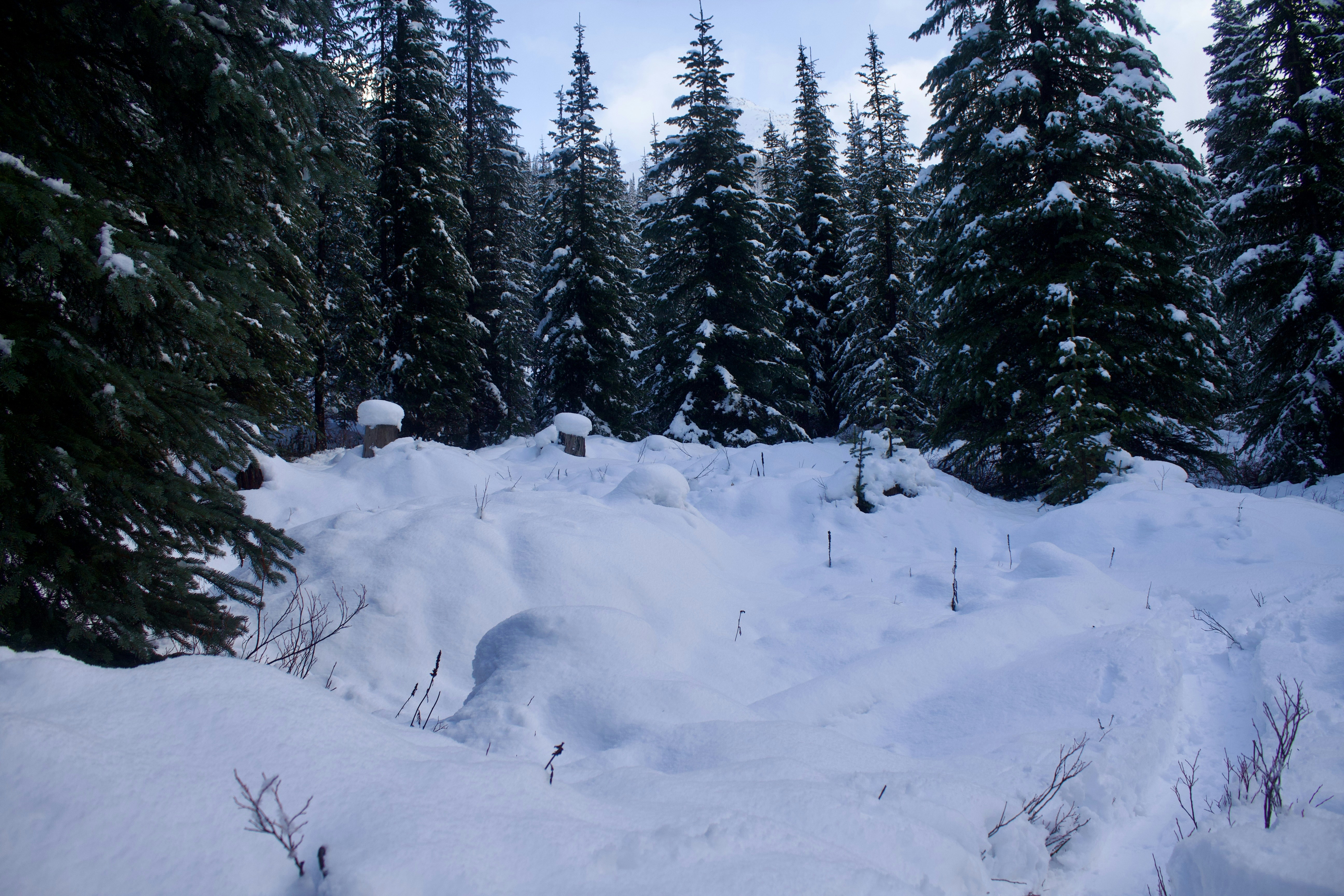 Photo by bishoy_kaldas