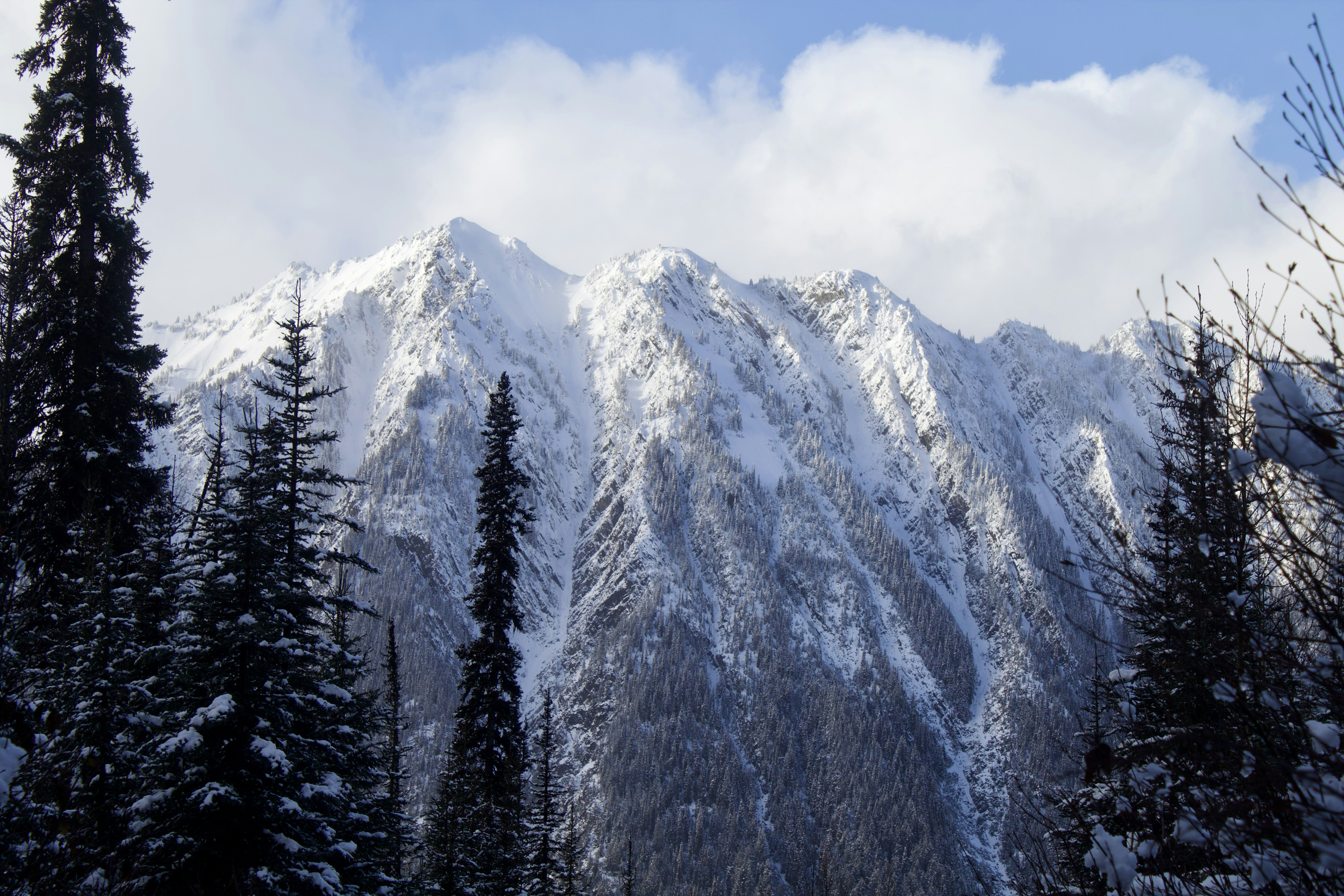 Photo by bishoy_kaldas