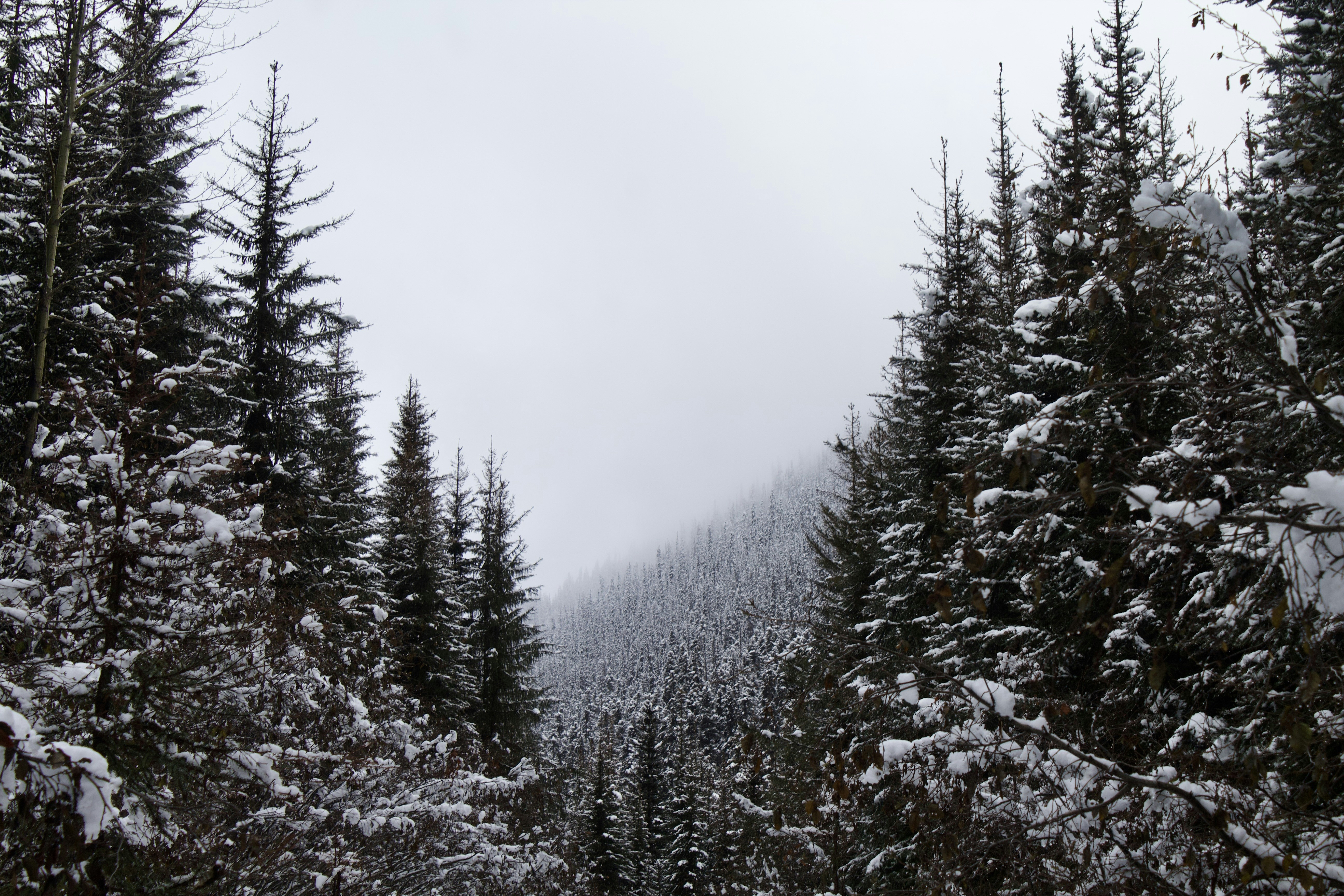 Photo by bishoy_kaldas