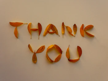 Text formed by autumn leaves saying thank you
