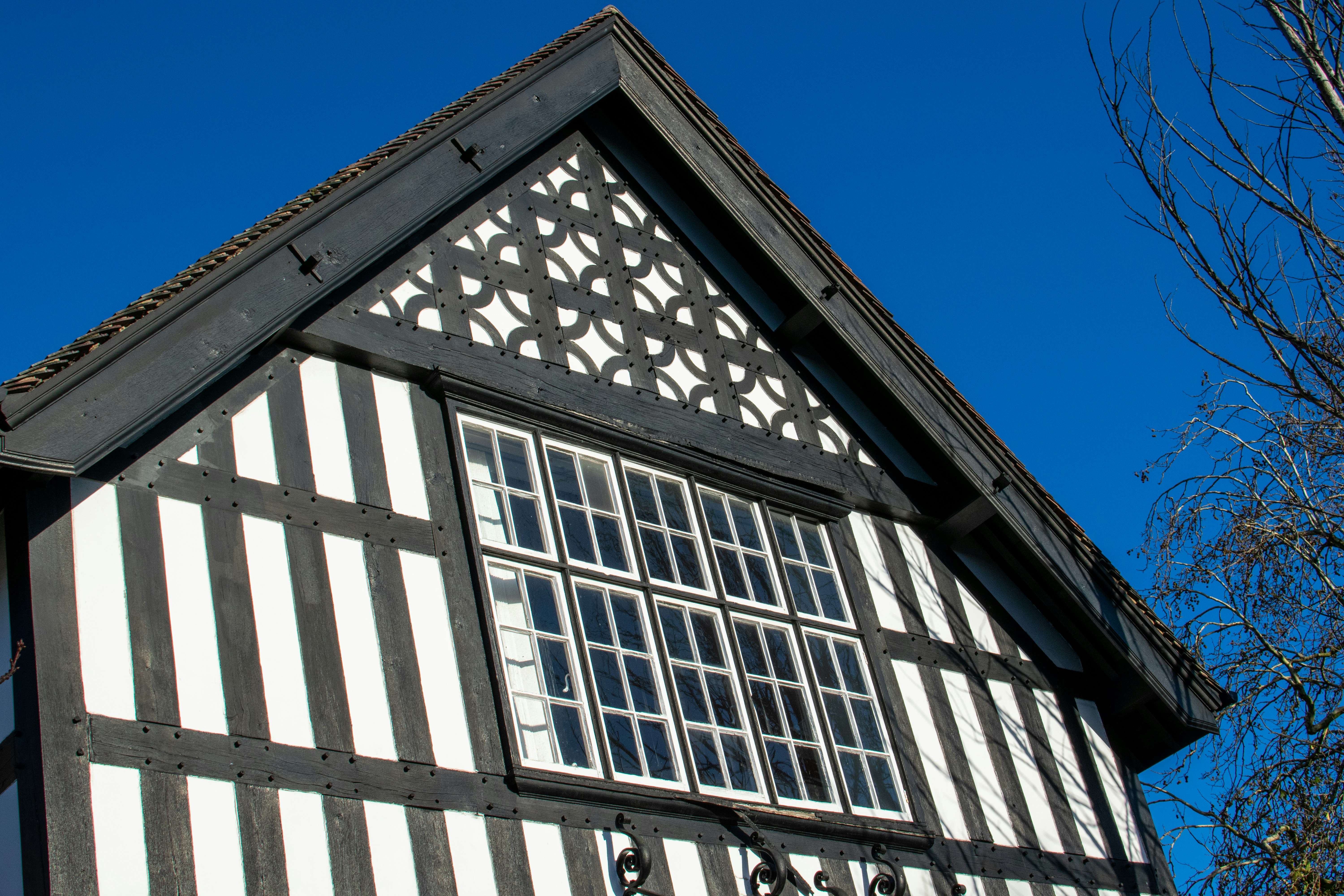 Photo by alexdavidphotos