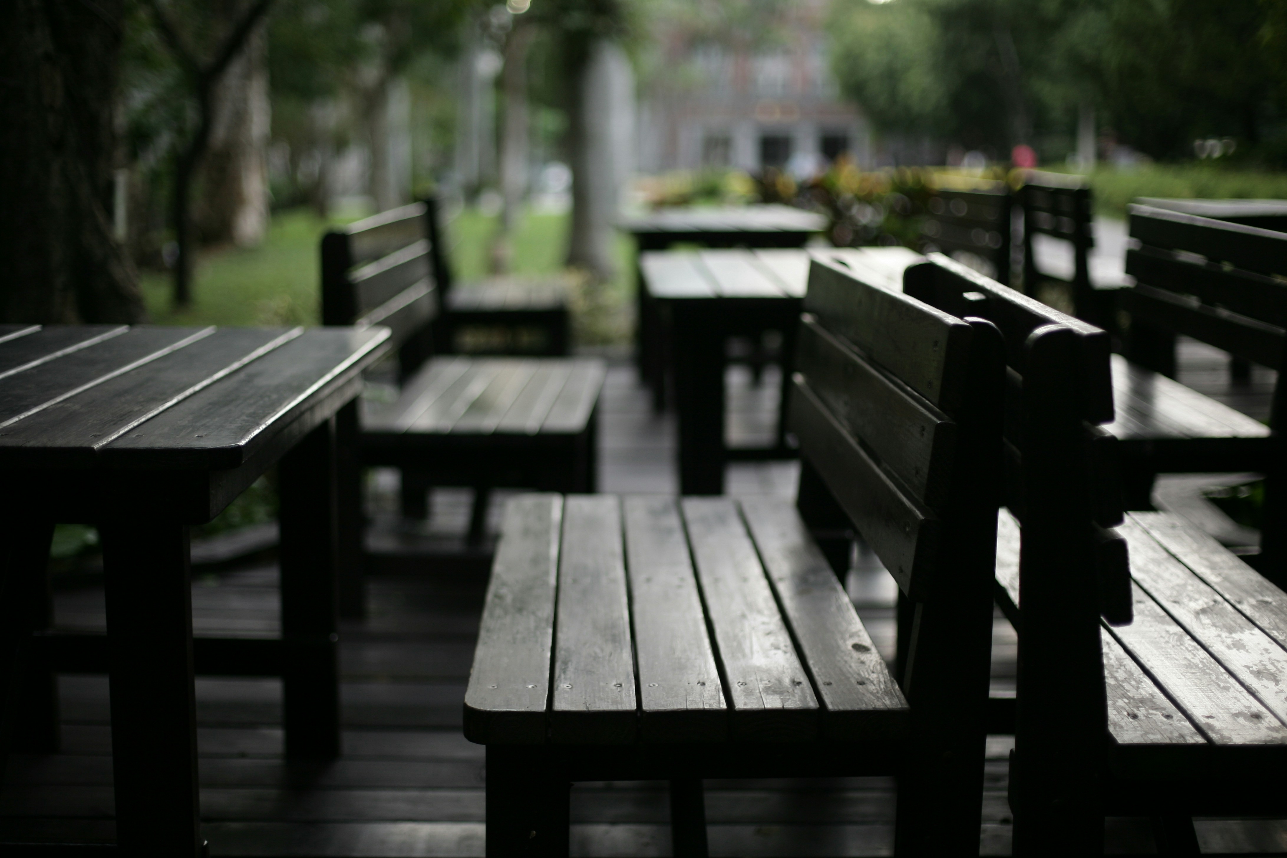 Photo by mclee
