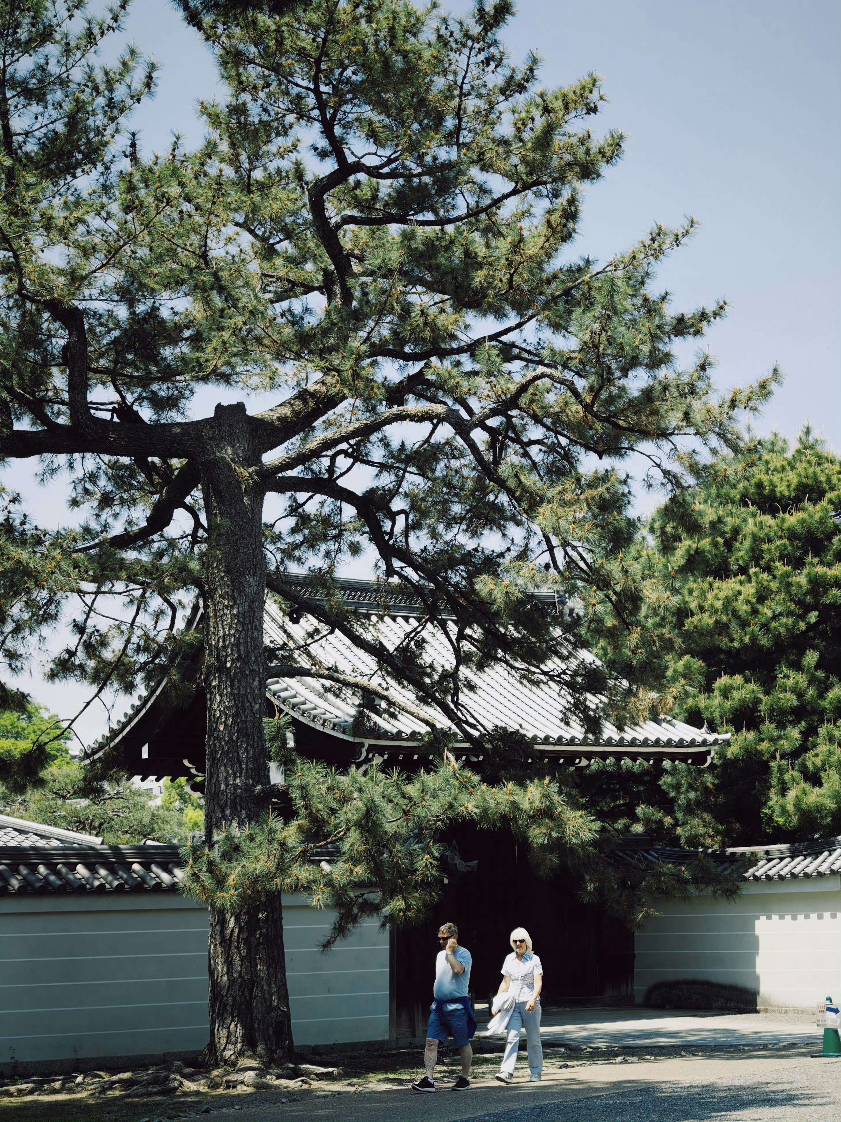 Photo by bestlifanna