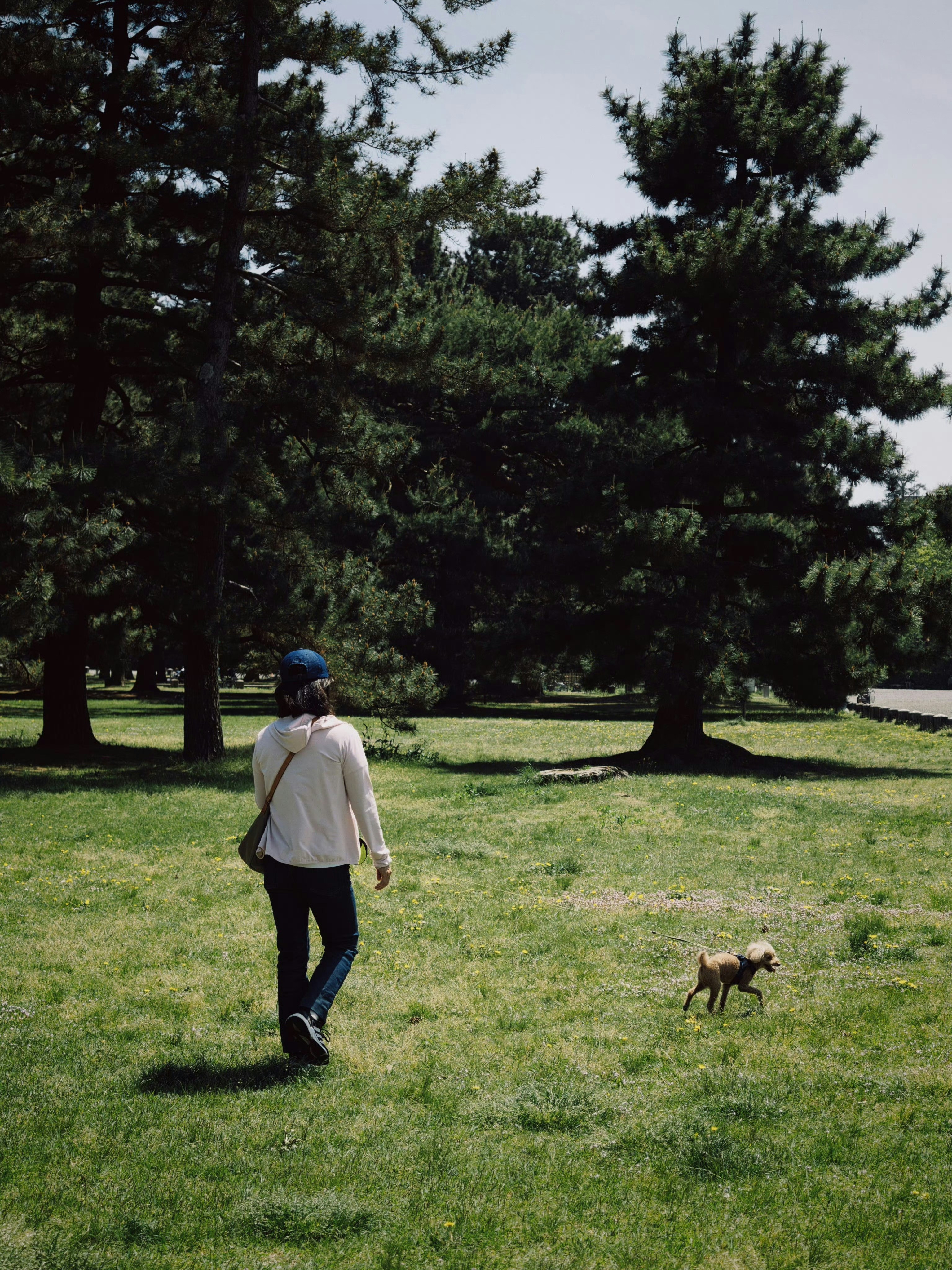 Photo by bestlifanna