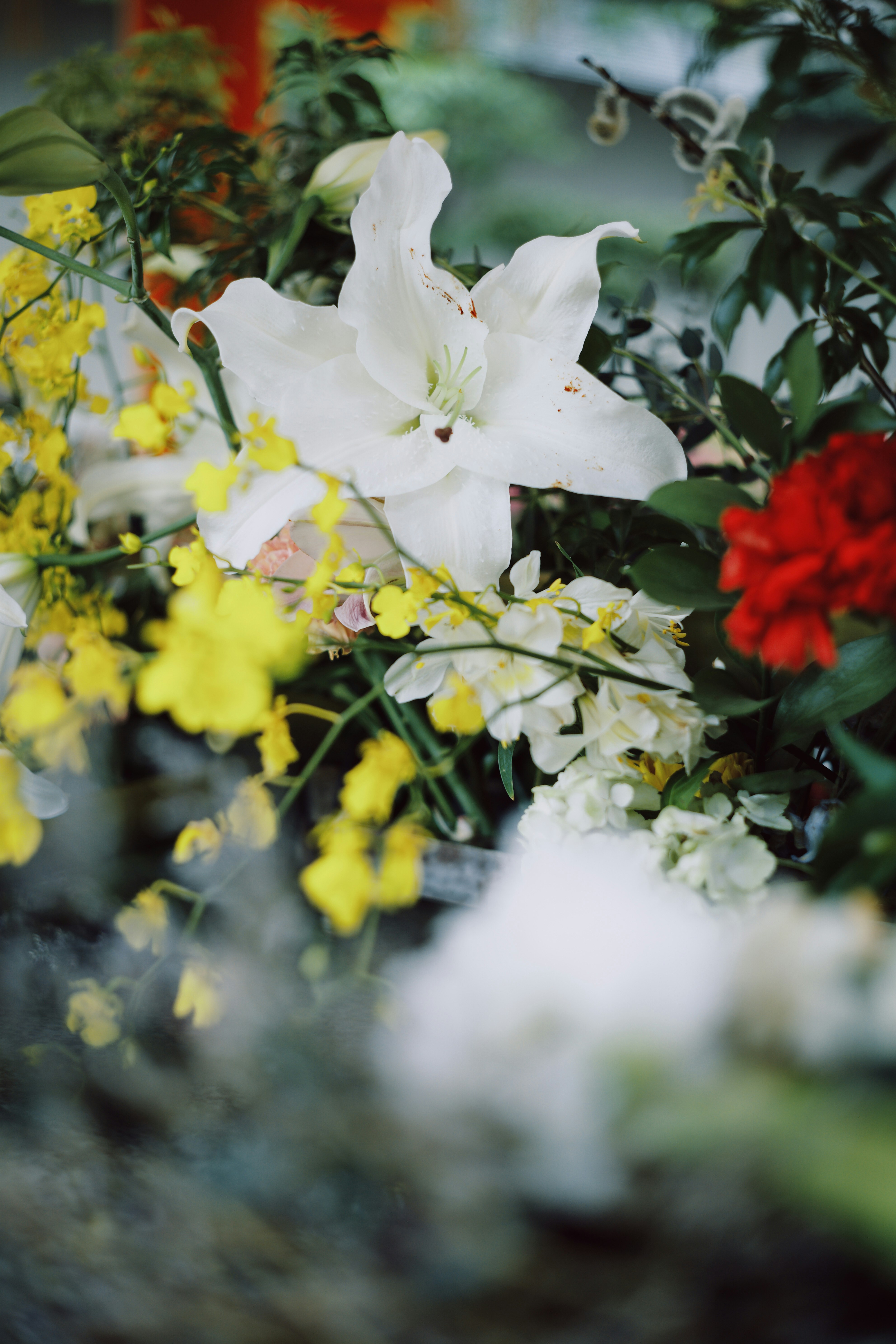 Photo by bestlifanna