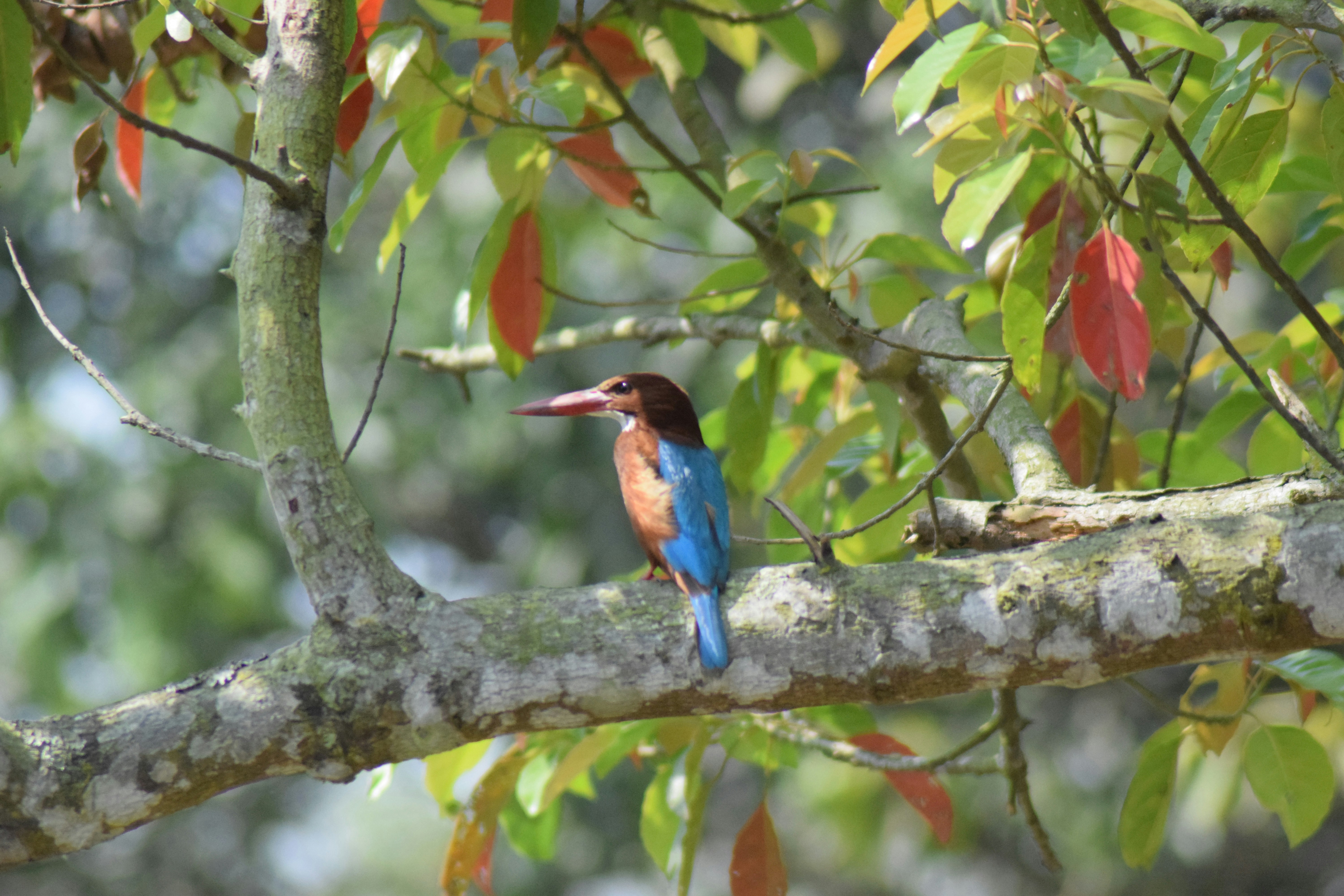 Photo by photographyworld