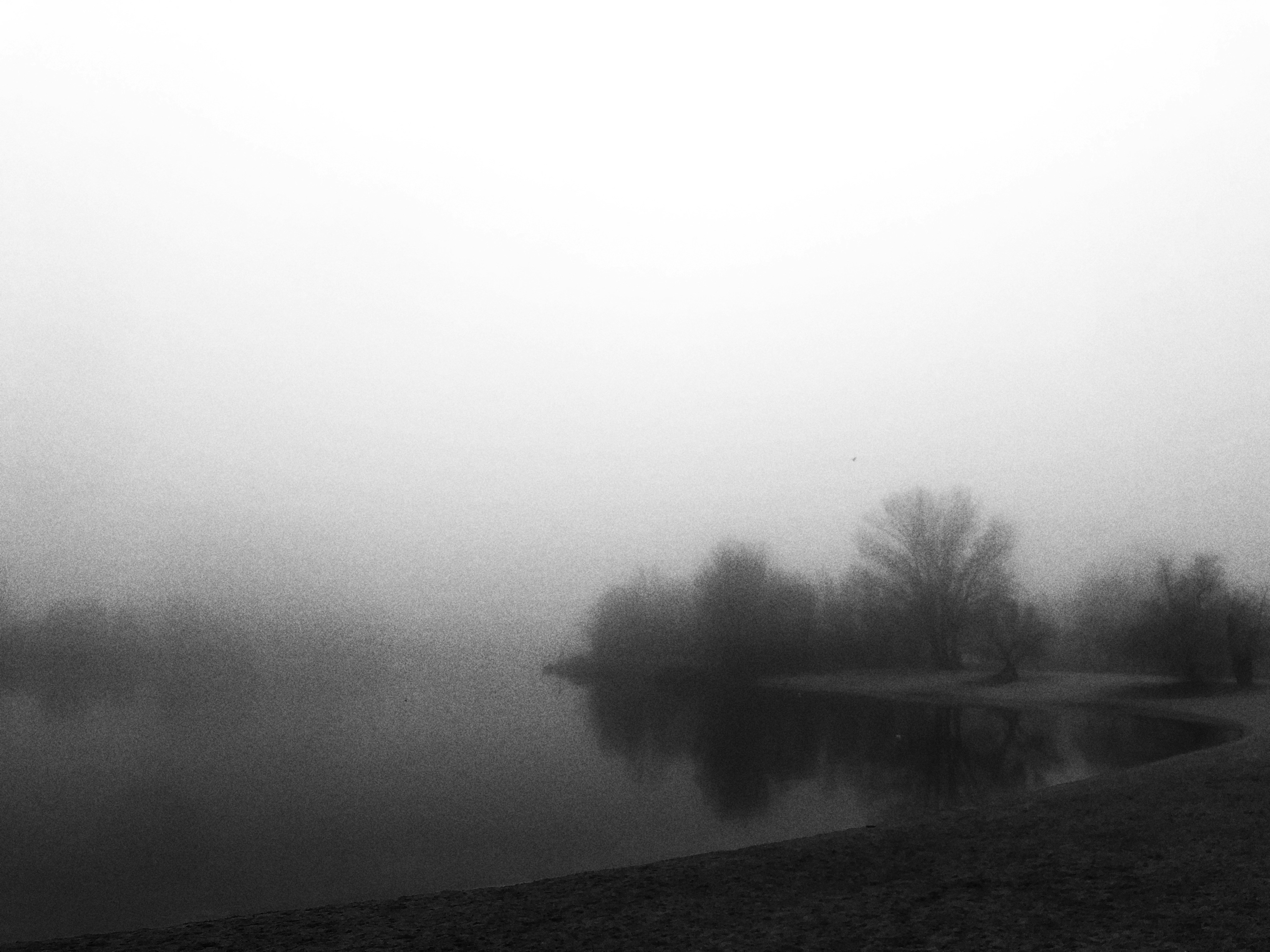 Photo by cherstve_pechivo