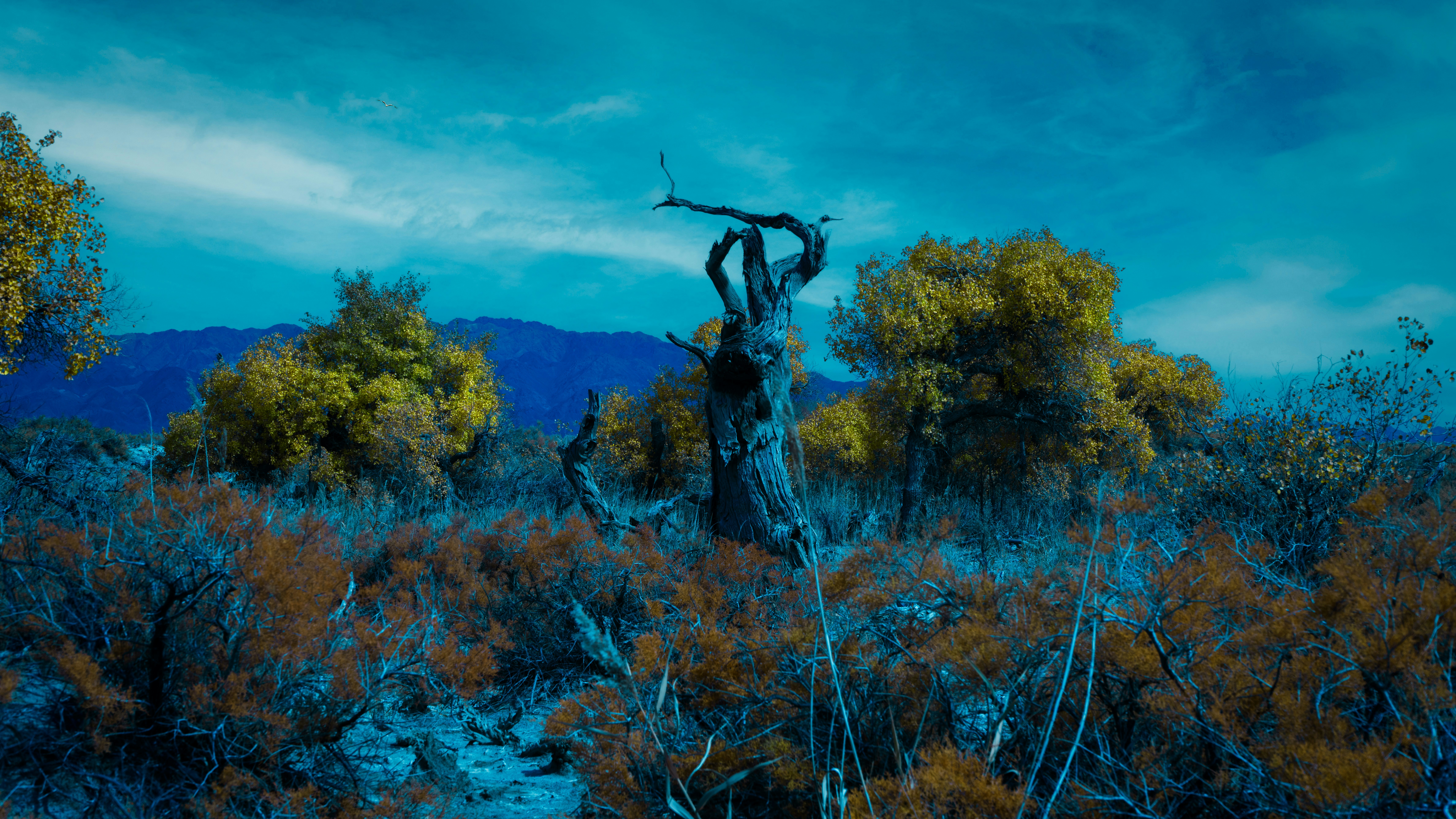 A lone figure stands amidst a surreal, colorful landscape.