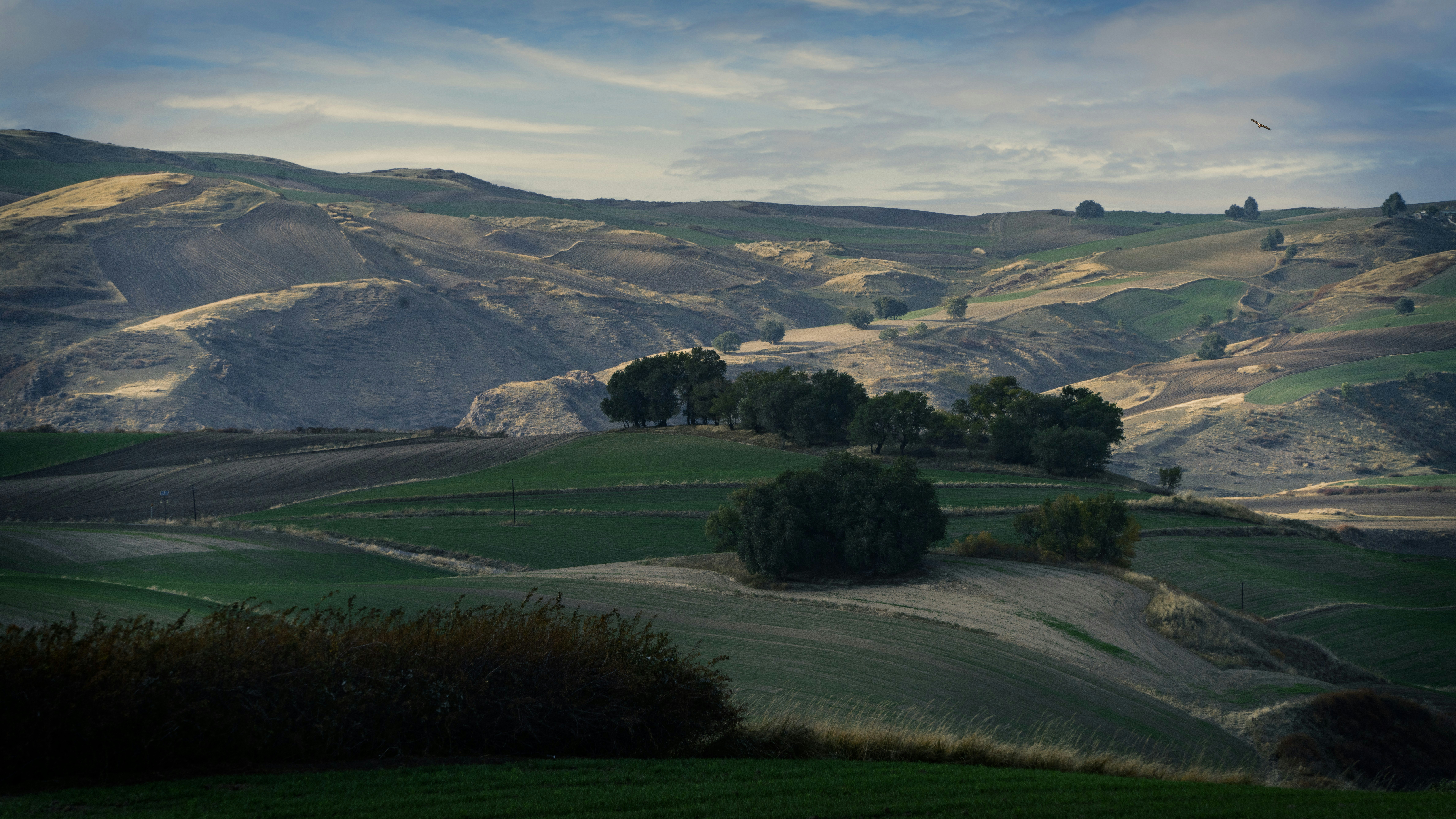 Green rolling hills with scattered trees under a cloudy sky.