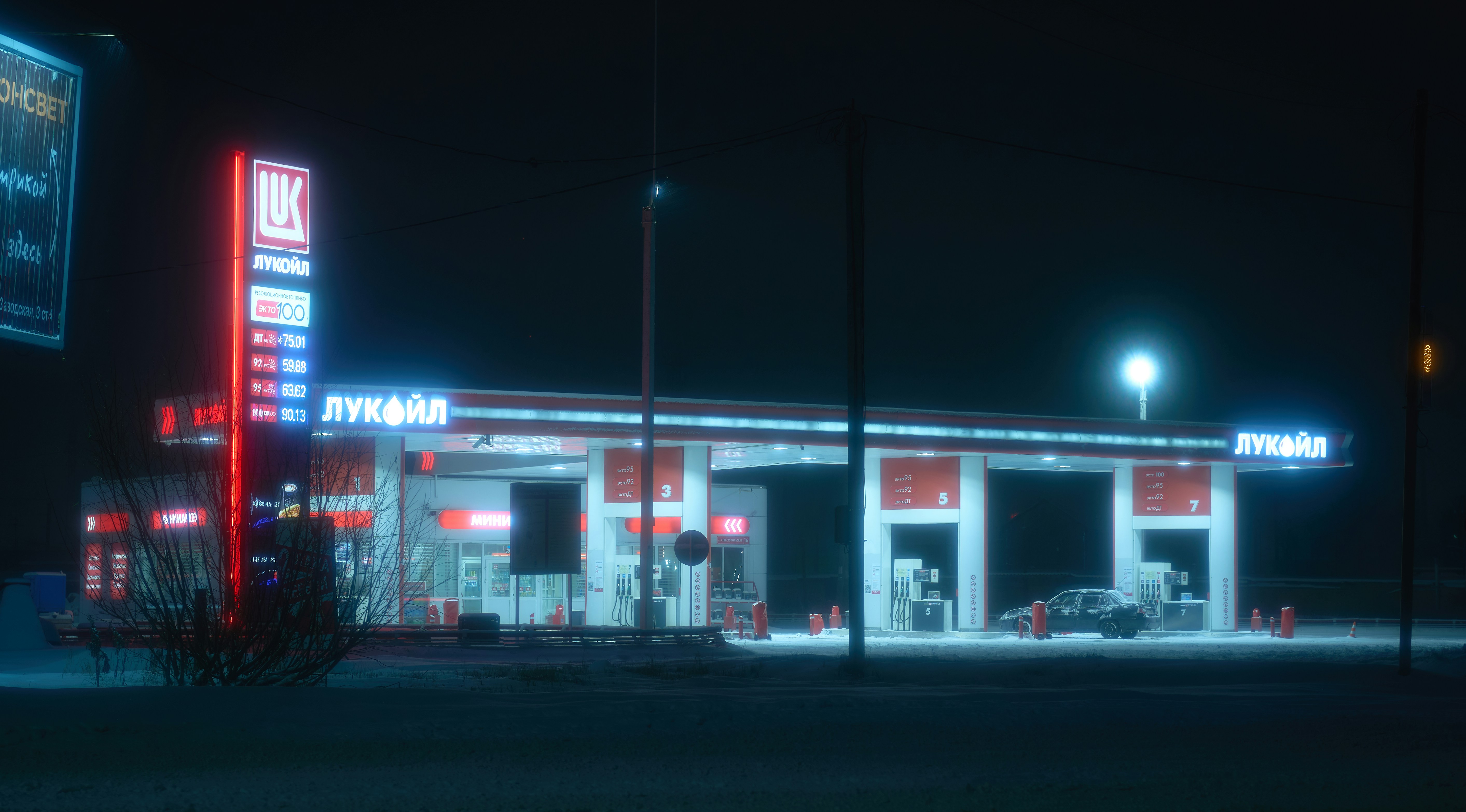 Photo by dragoncy635