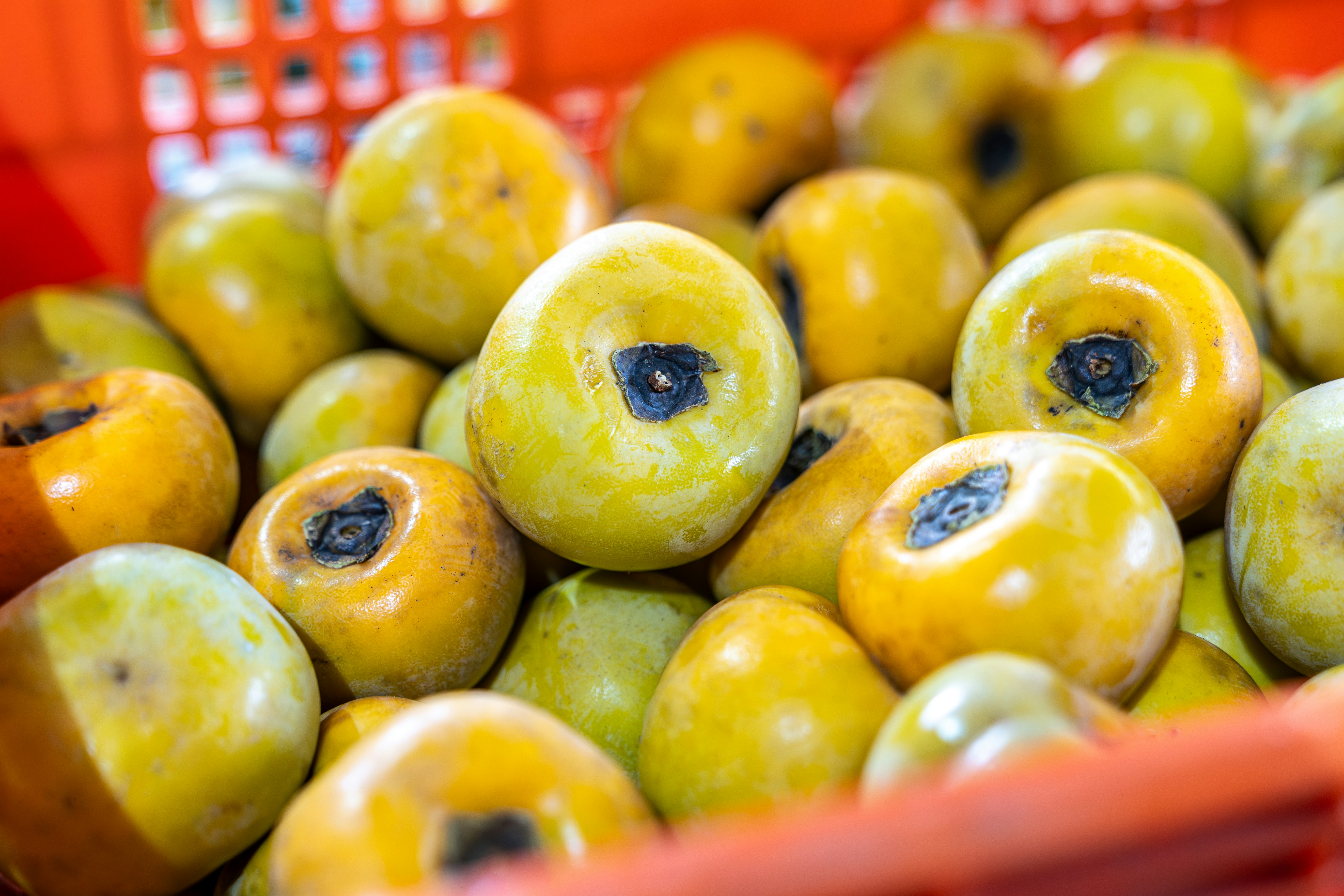 Photo by winstonchen