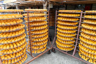 Rows of drying persimmons on racks