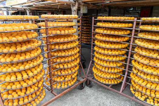 Rows of drying persimmons on racks