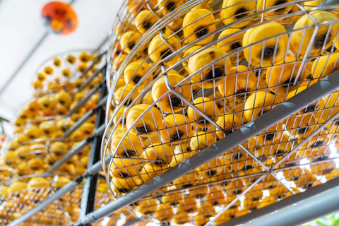 Rows of dried persimmons hanging on racks