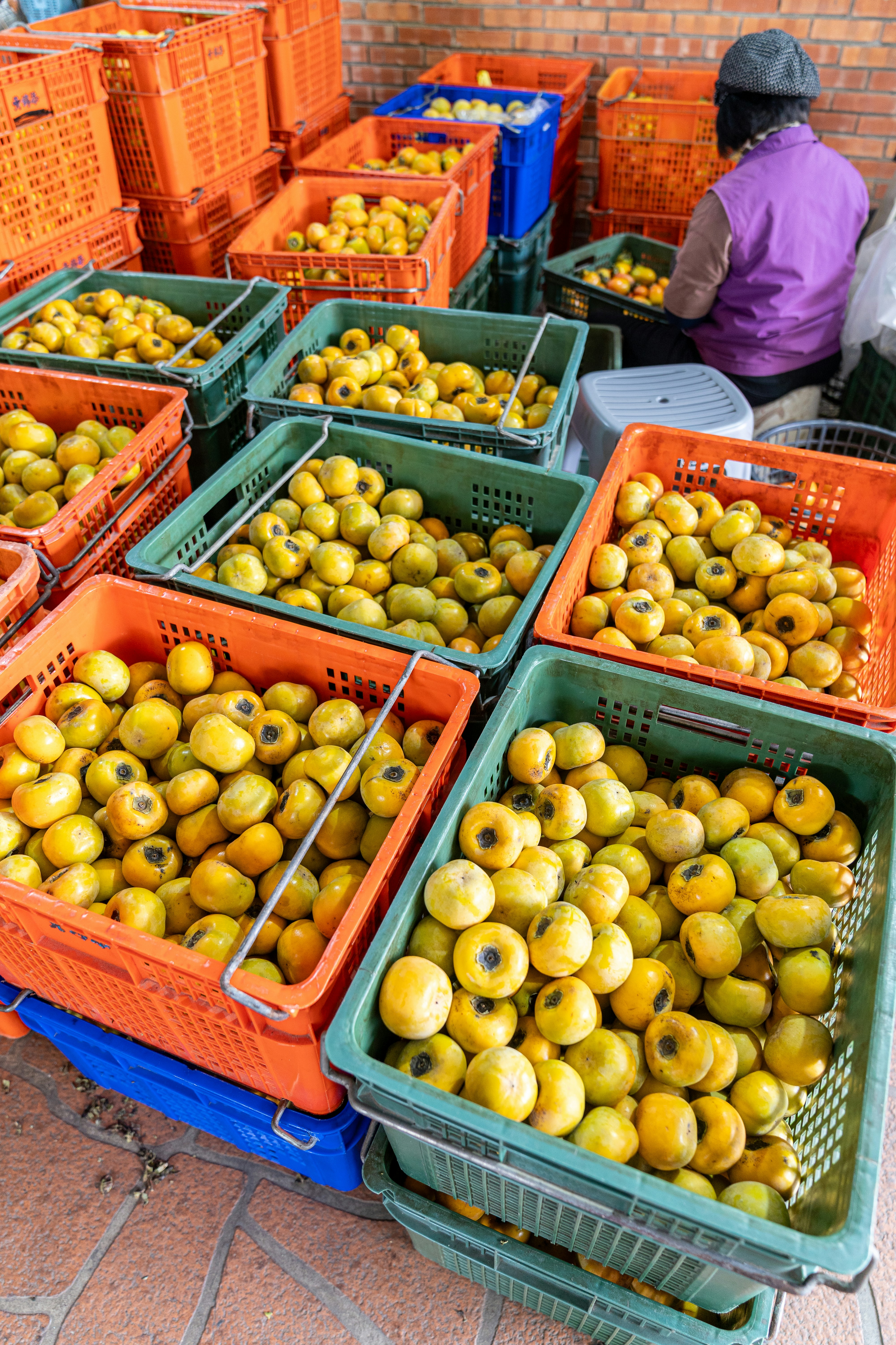 Photo by winstonchen