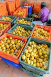 Crates of fresh yellow fruit being sorted by a person.