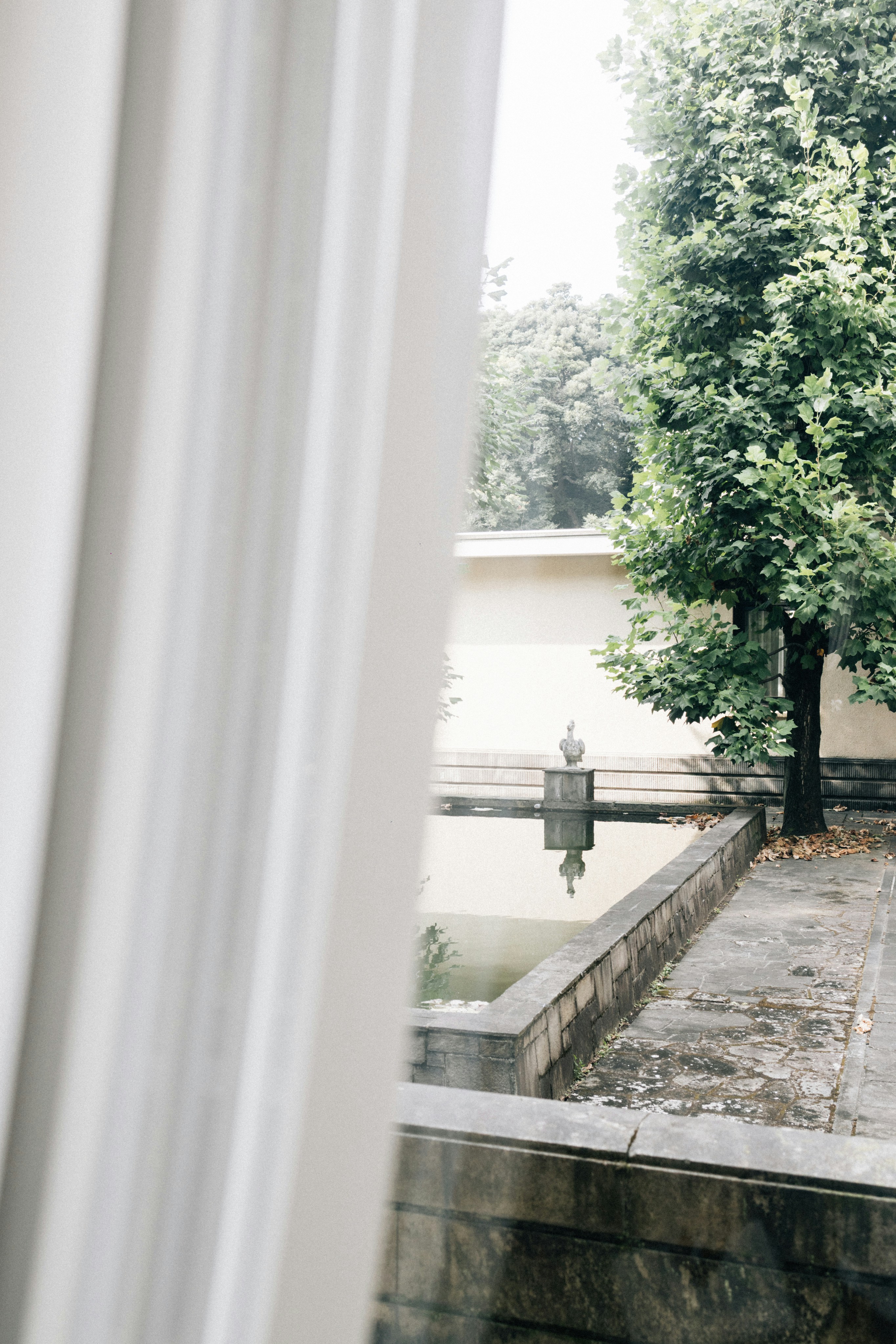 A serene courtyard with a small pond and tree.
