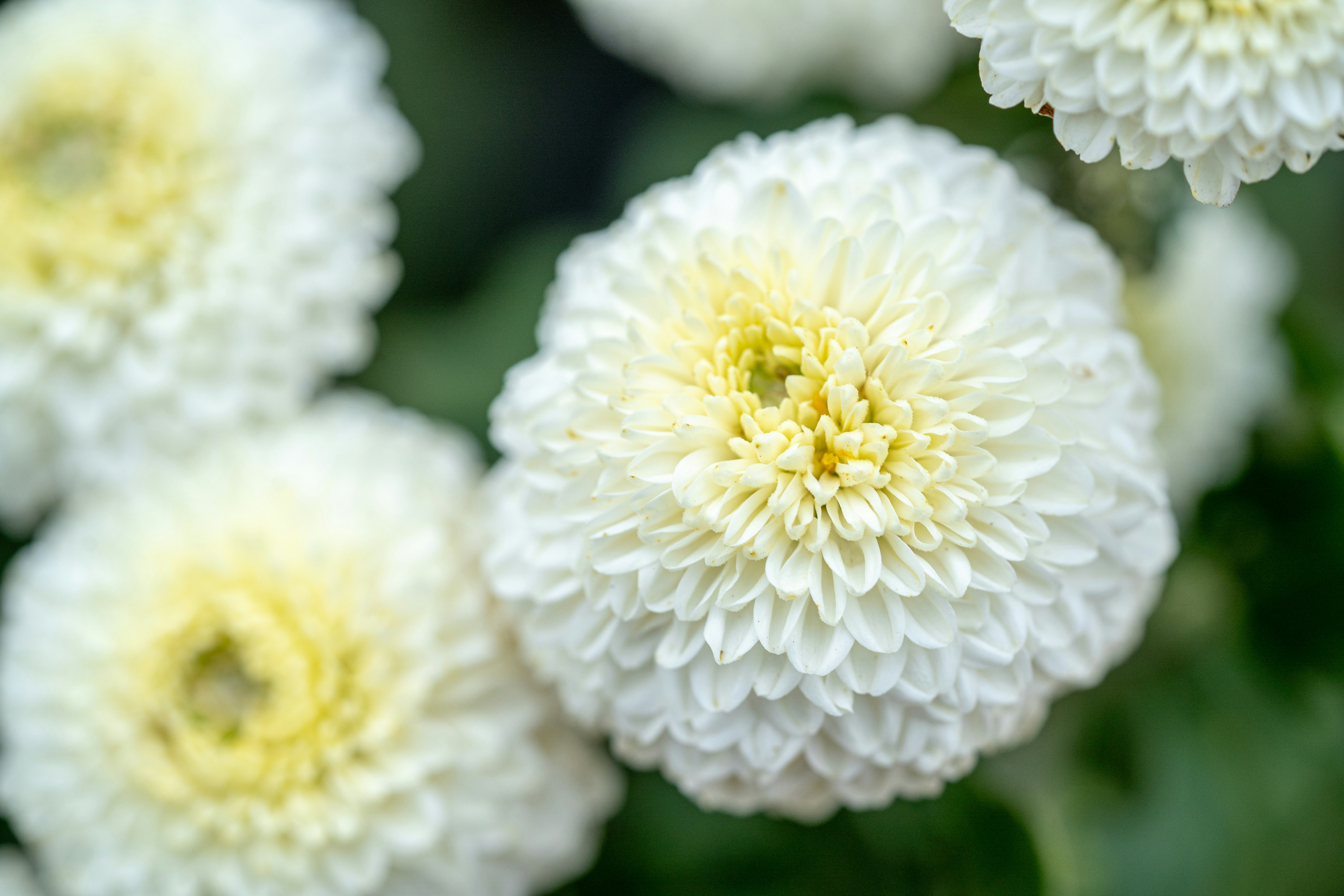 Photo by winstonchen