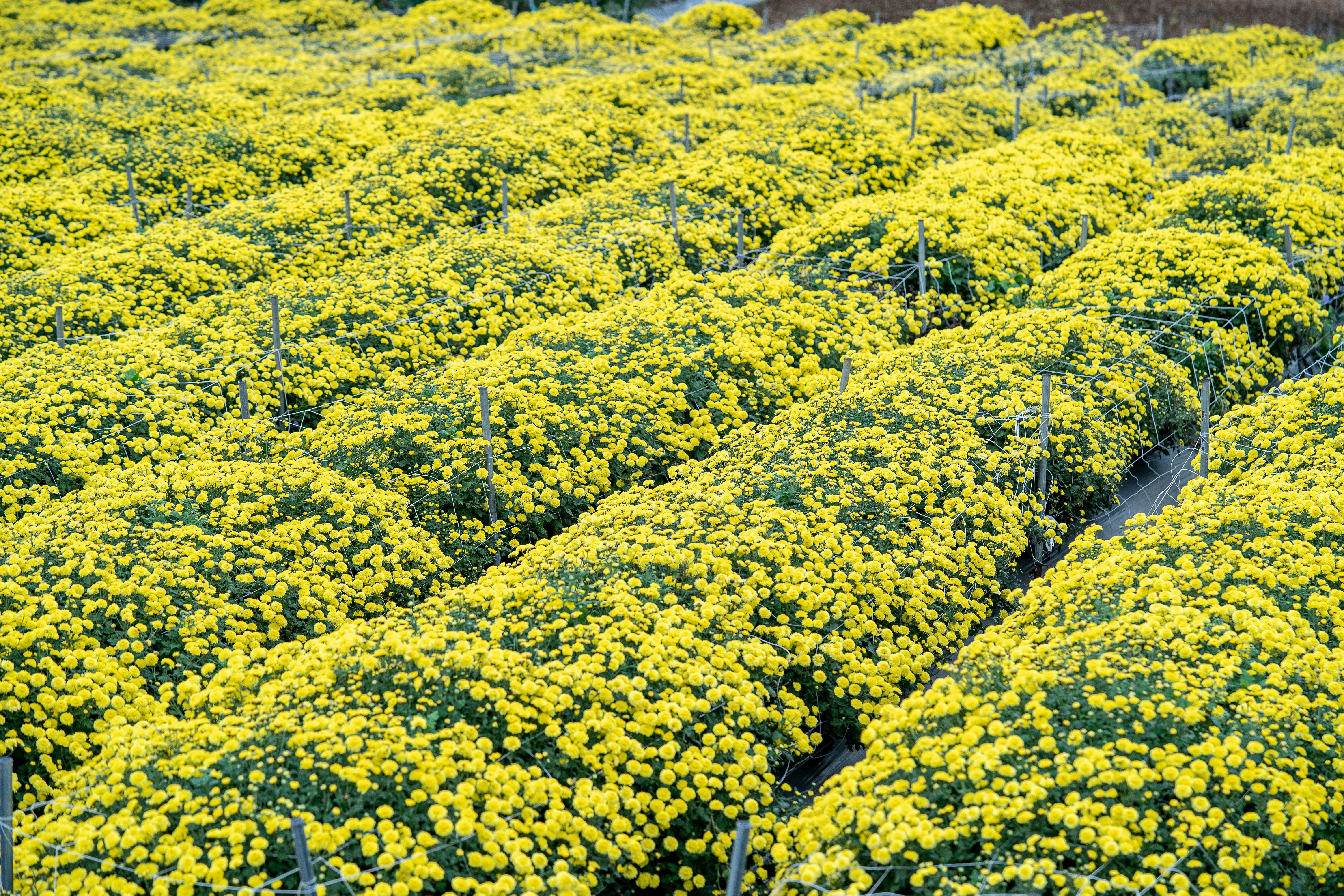 Photo by winstonchen