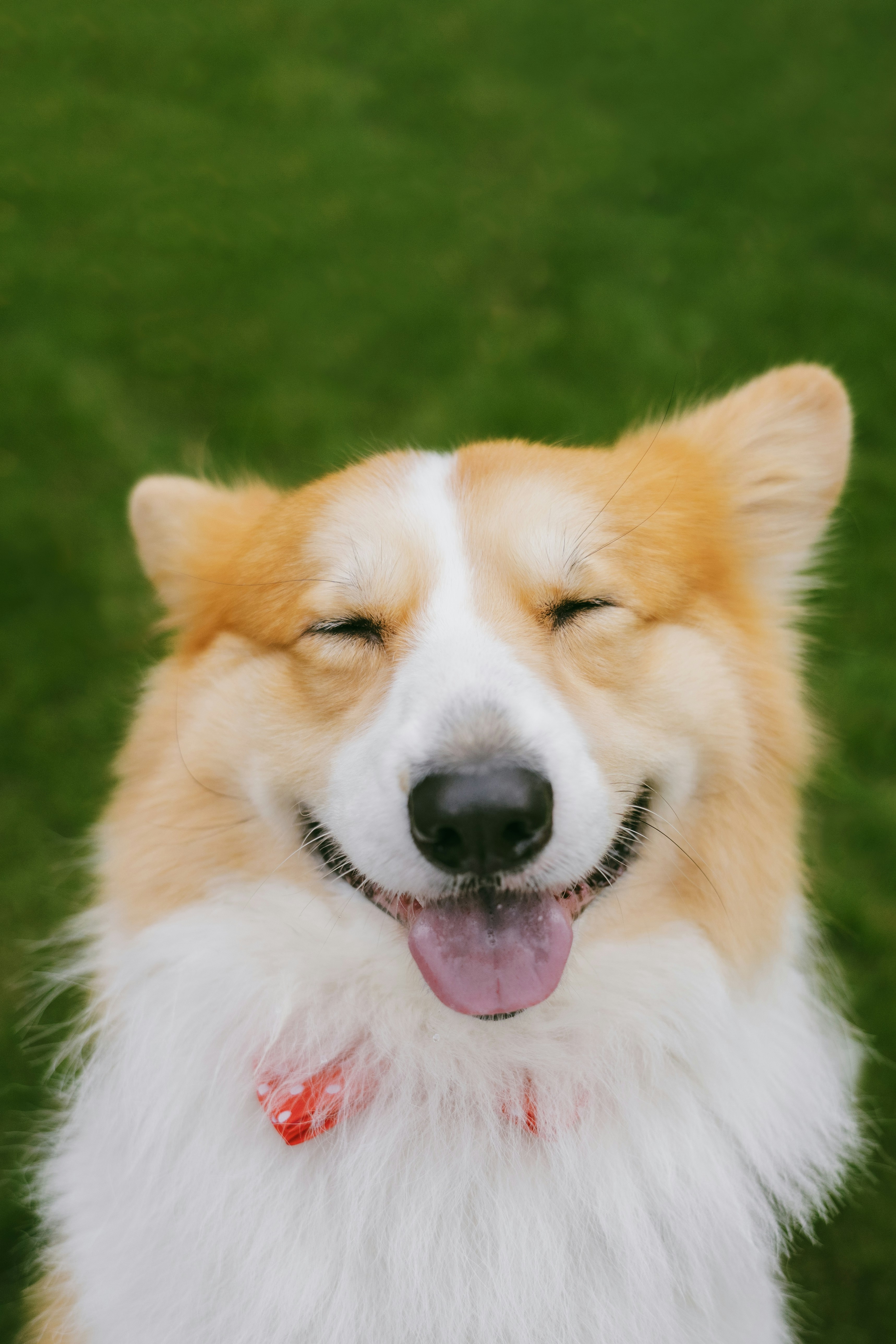 This is a post about something