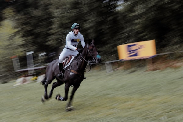 Rider on dark horse galloping across grassy field