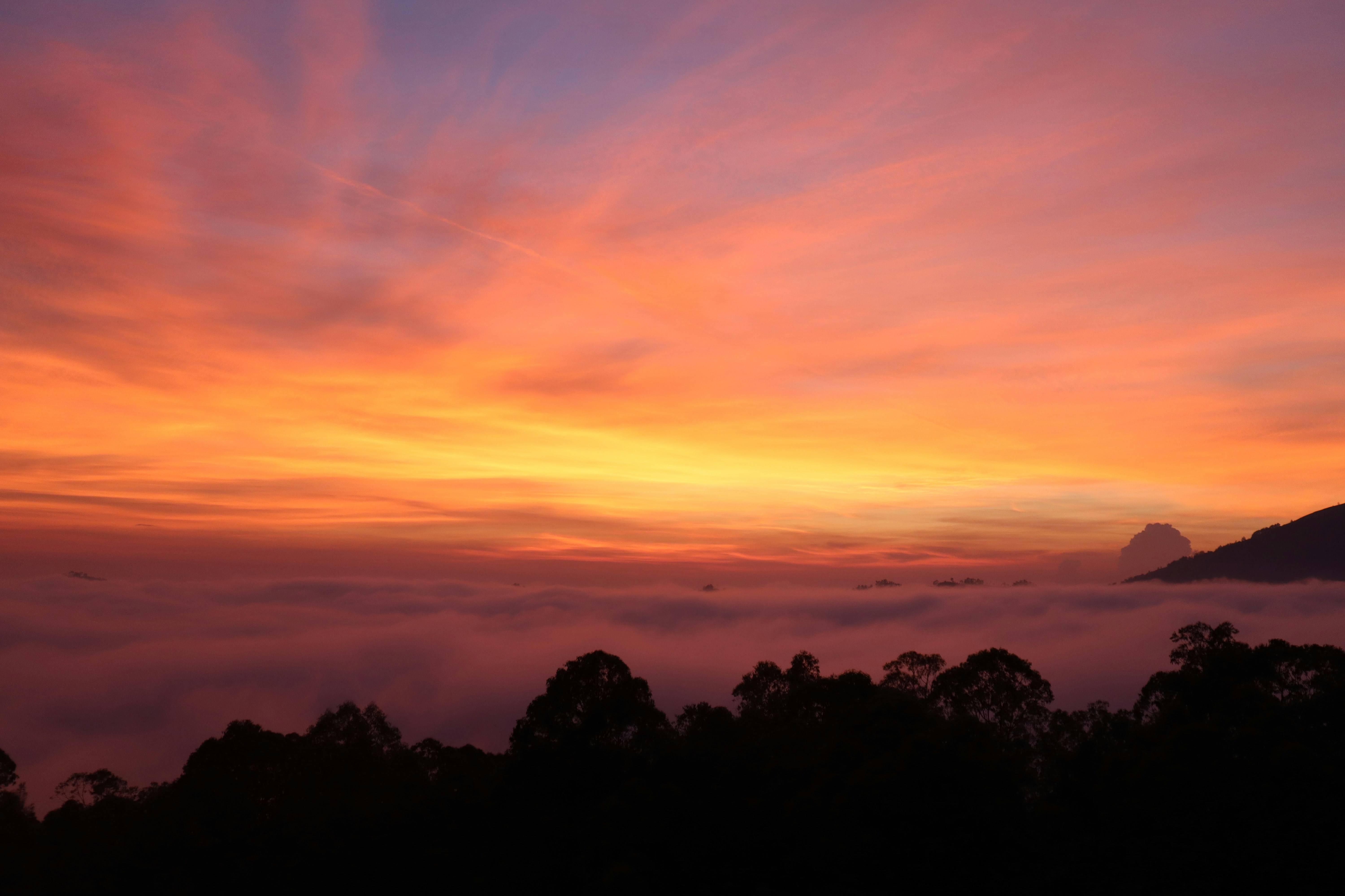 Photo by laavanya_bhattt