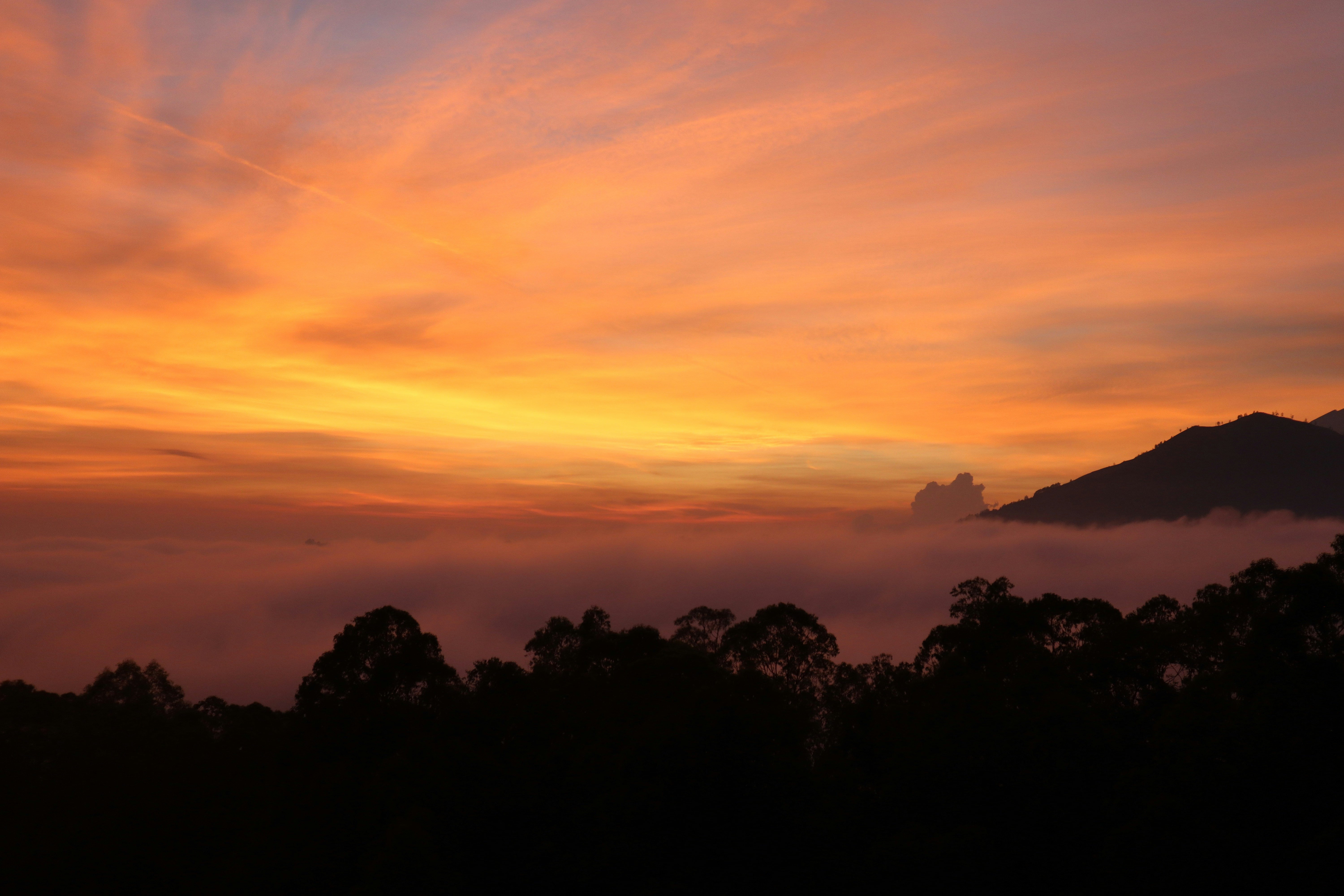 Photo by laavanya_bhattt