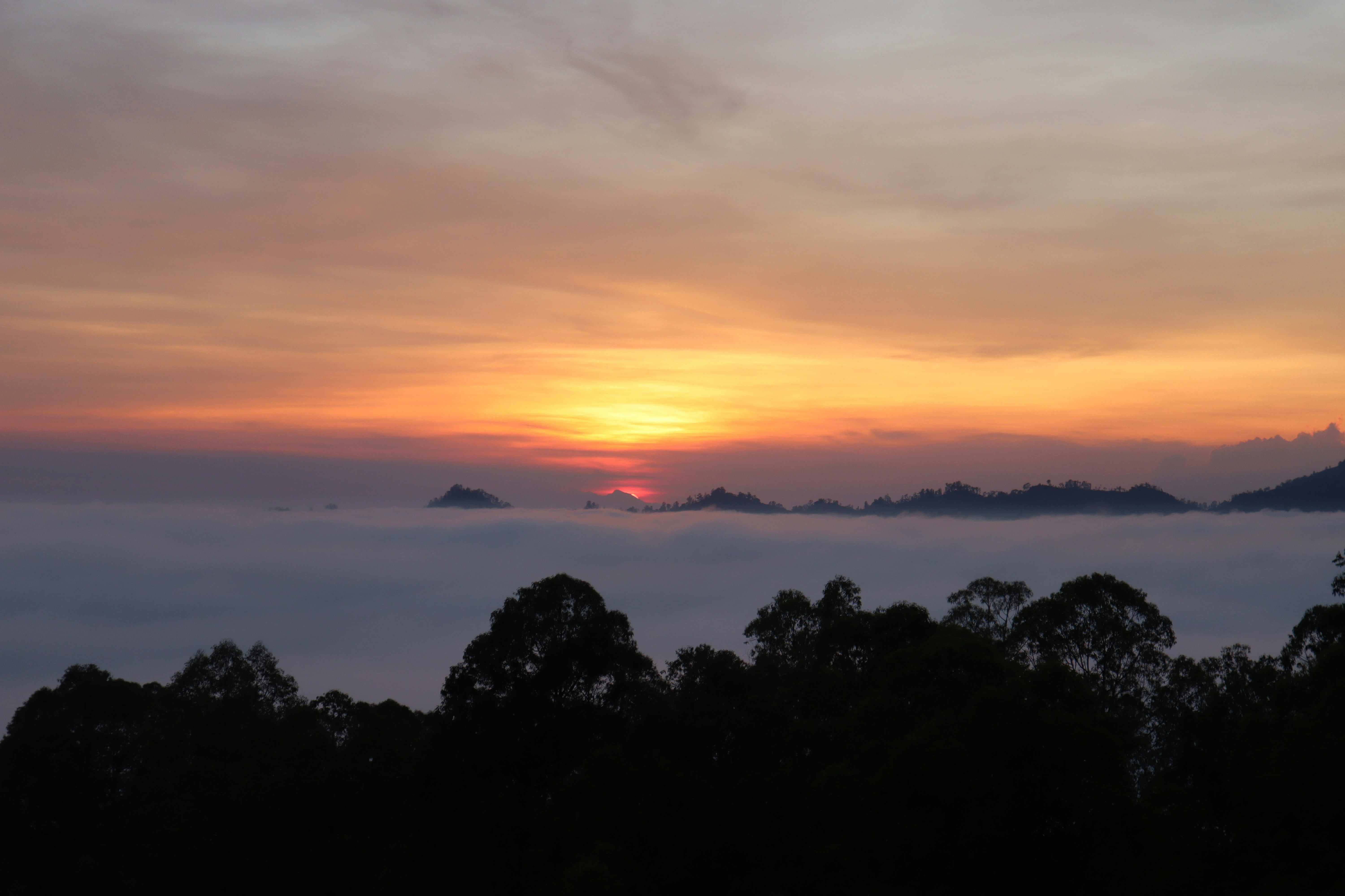Sunrise over a misty mountain range with trees.