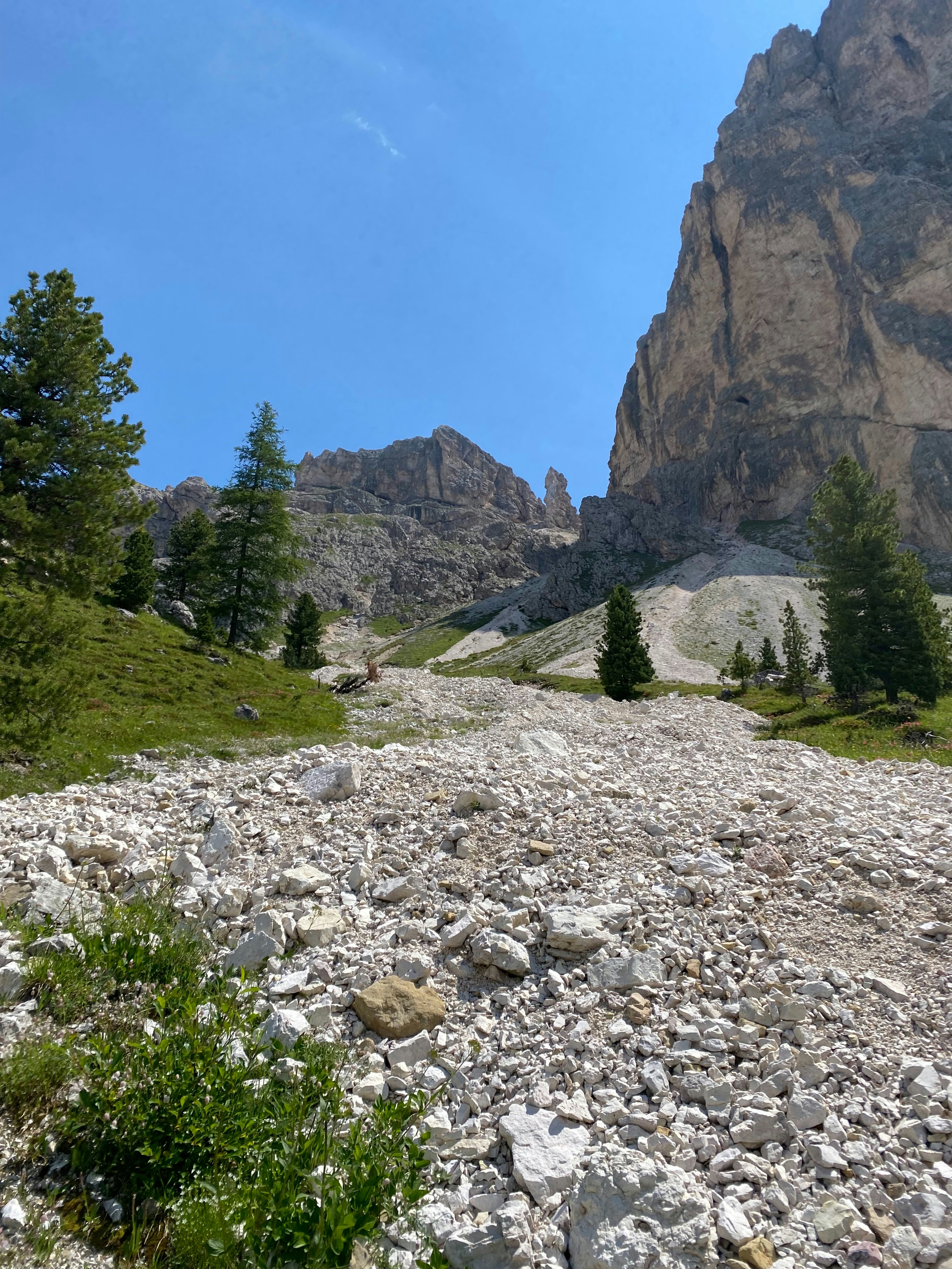 Photo by viktorfriesen