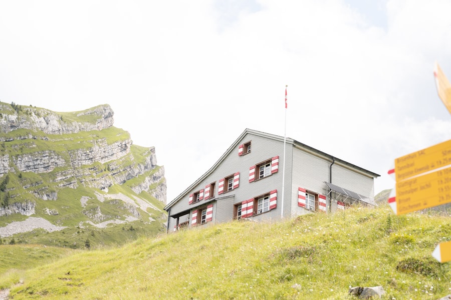 Tiroler Alm im Frühling