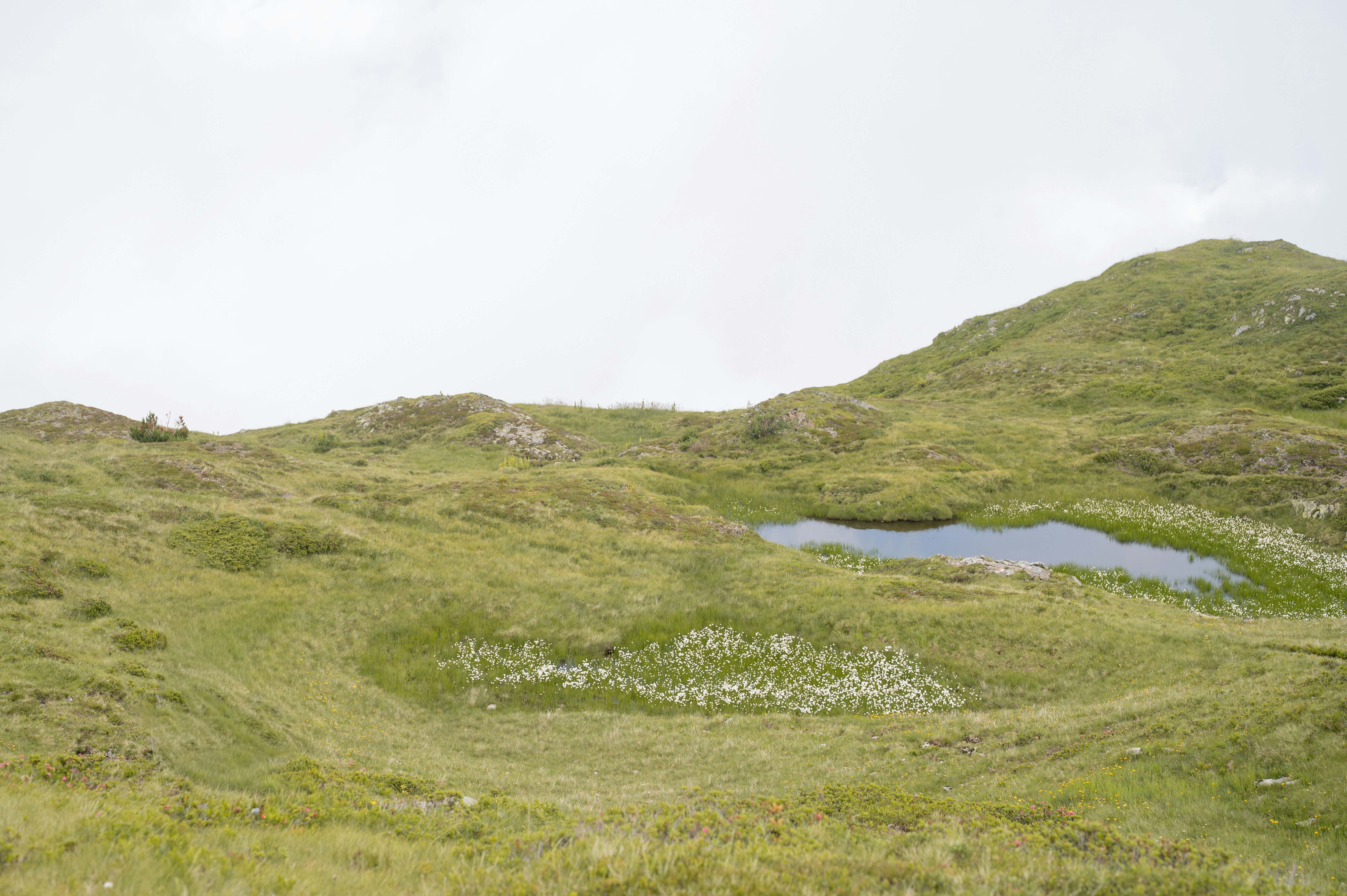 Photo by melanieweidmann_photography