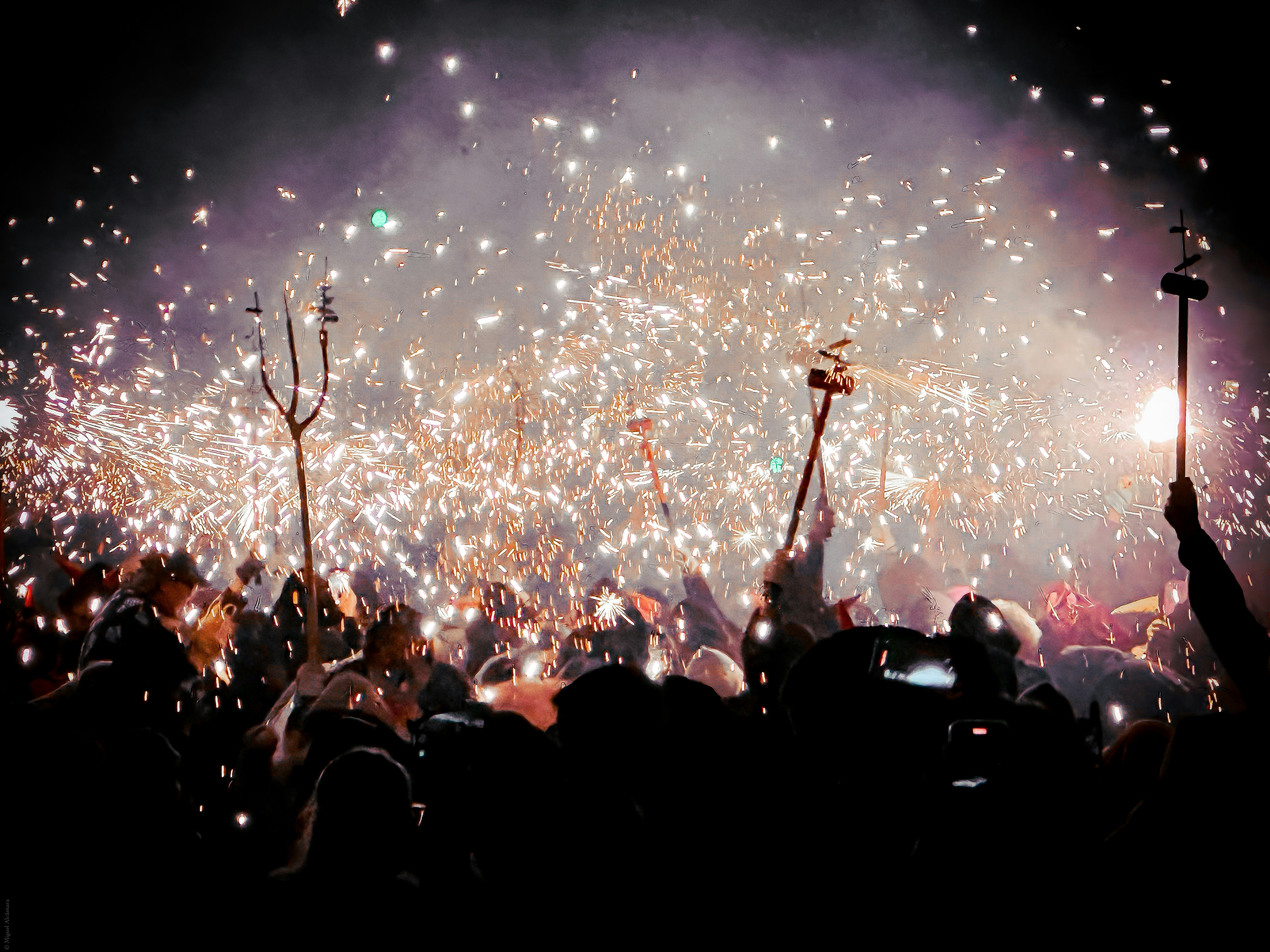 Crowd watching fireworks explode in the night sky